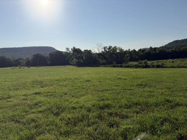 Photo 9 - Land for sale – Tbd  County Road 906   Green Forest, AR