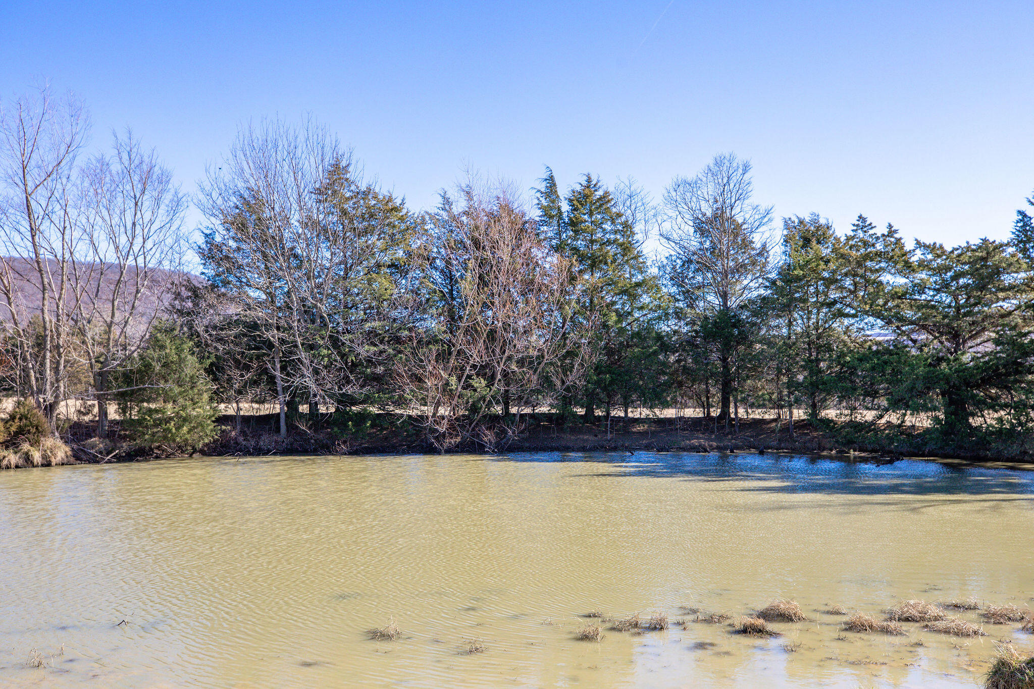 Photo 22 - Land for sale – Tbd  County Road 906   Green Forest, AR