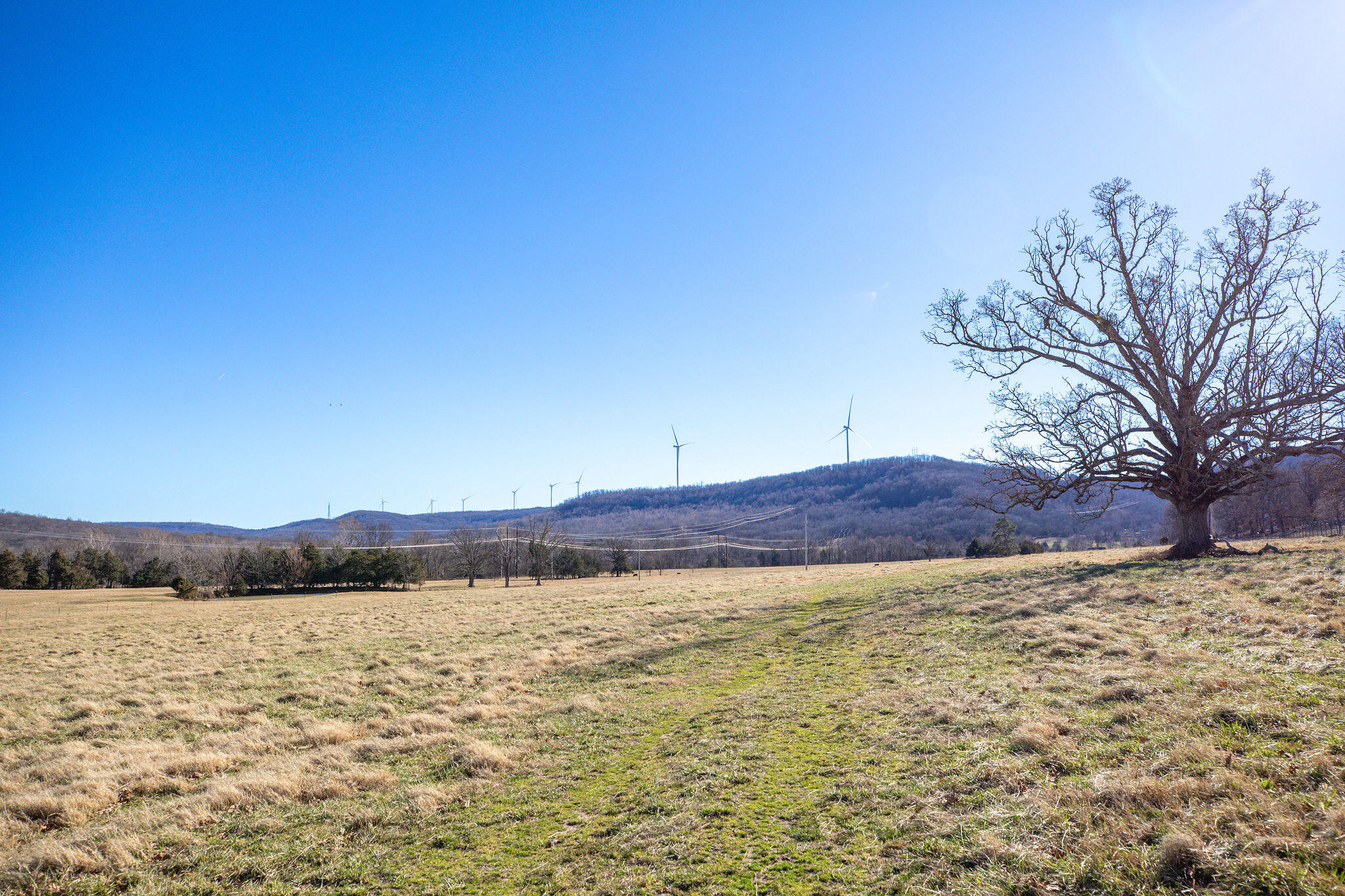 Photo 17 - Land for sale – Tbd  County Road 906   Green Forest, AR