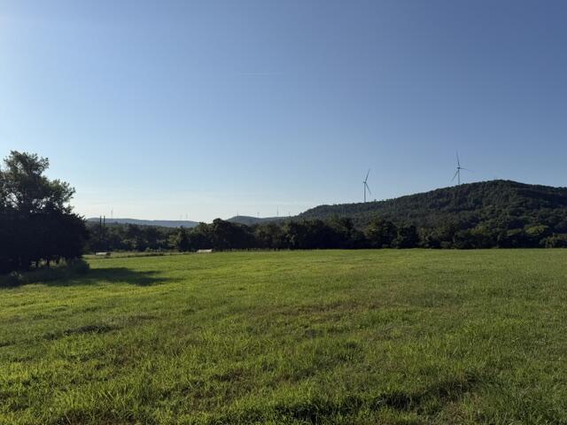 Photo 11 - Land for sale – Tbd  County Road 906   Green Forest, AR
