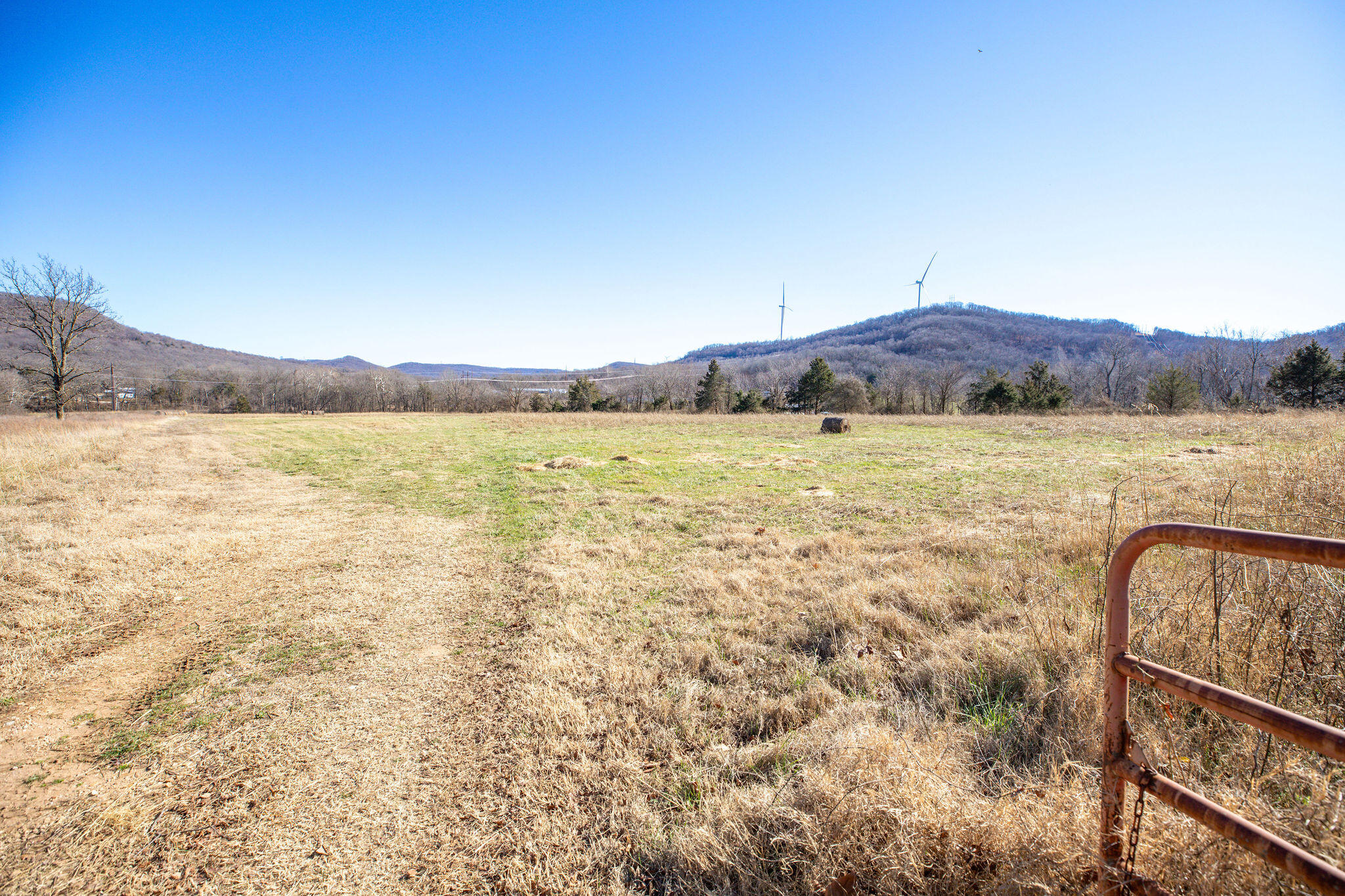 Photo 12 - Land for sale – Tbd  County Road 906   Green Forest, AR