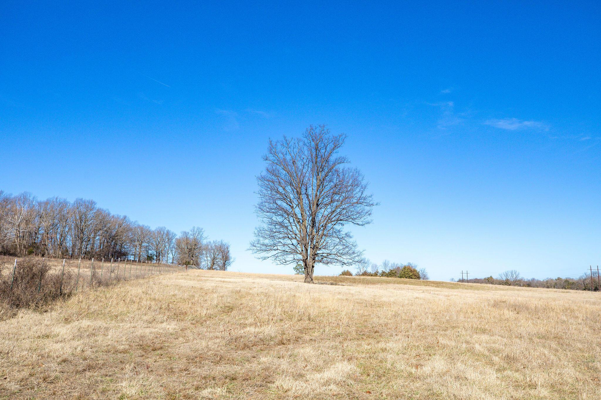 Photo 15 - Land for sale – Tbd  County Road 906   Green Forest, AR