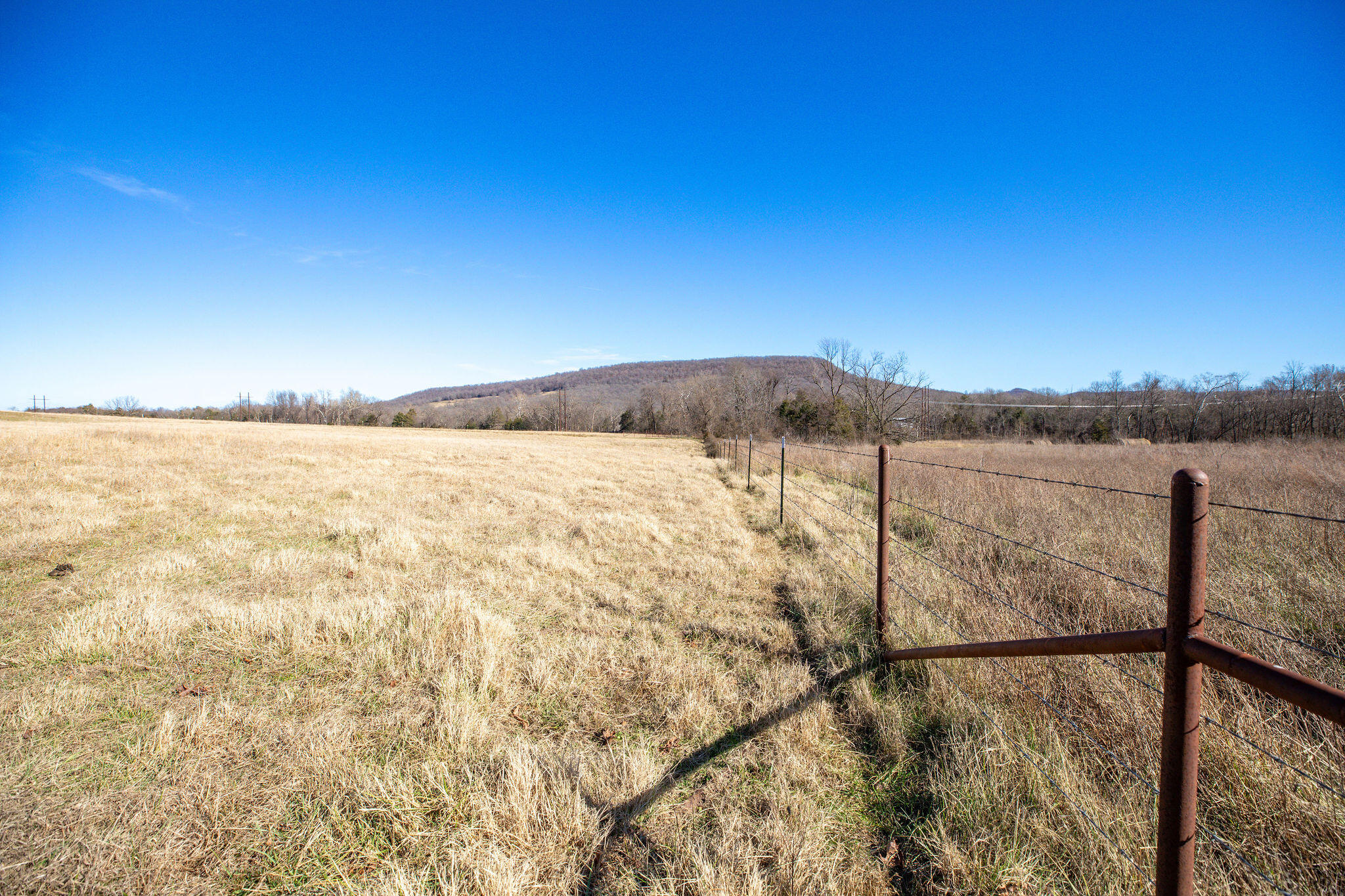 Photo 14 - Land for sale – Tbd  County Road 906   Green Forest, AR