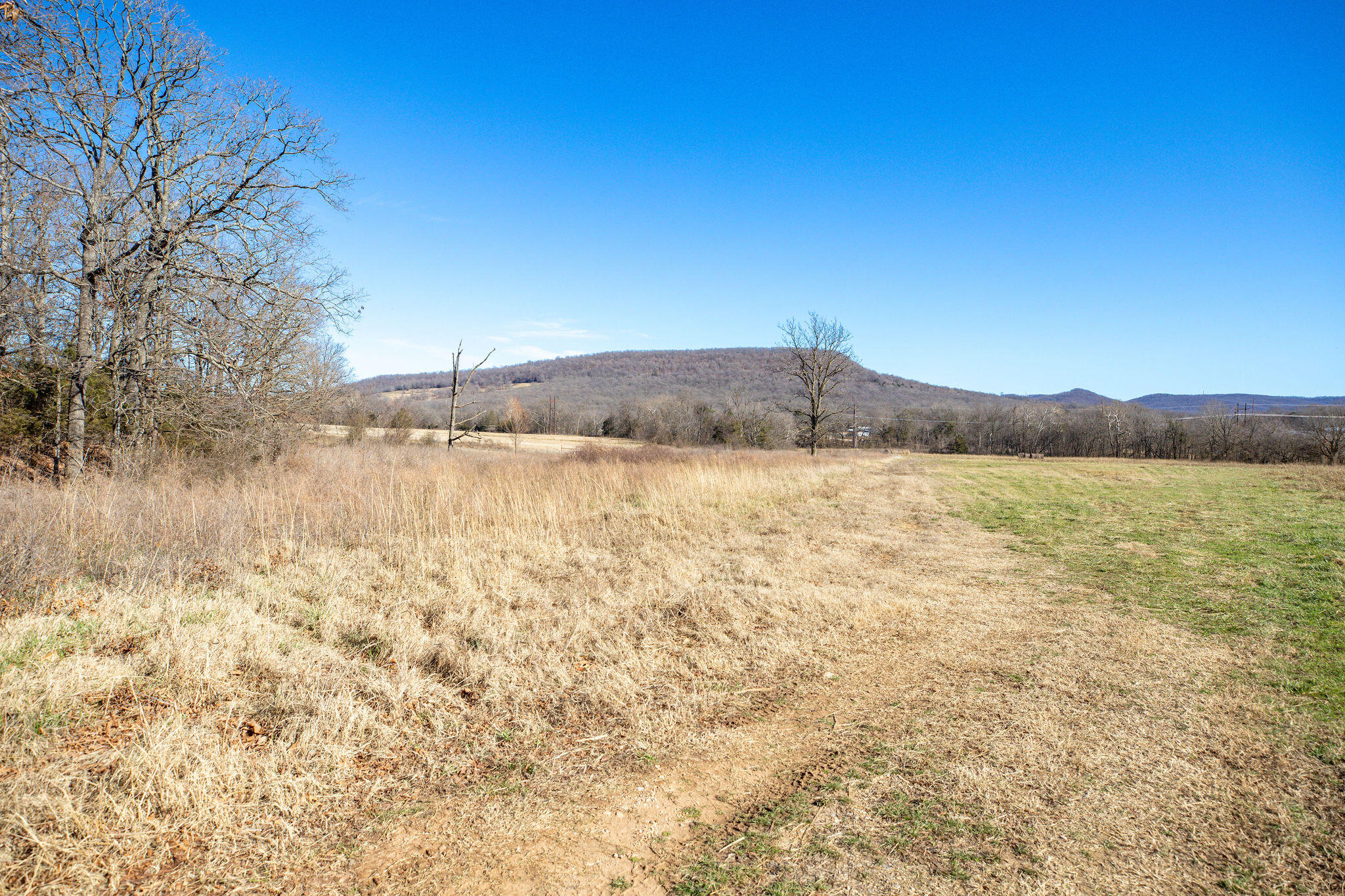 Photo 13 - Land for sale – Tbd  County Road 906   Green Forest, AR