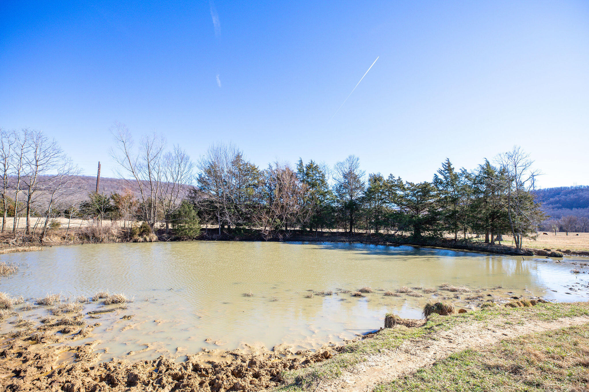 Photo 21 - Land for sale – Tbd  County Road 906   Green Forest, AR