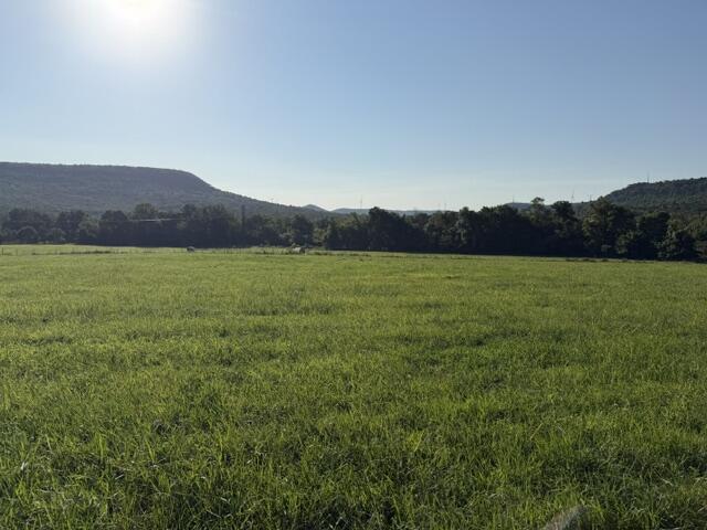 Photo 10 - Land for sale – Tbd  County Road 906   Green Forest, AR