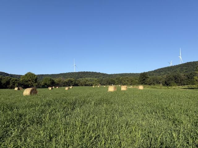 Photo 7 - Land for sale – Tbd  County Road 906   Green Forest, AR