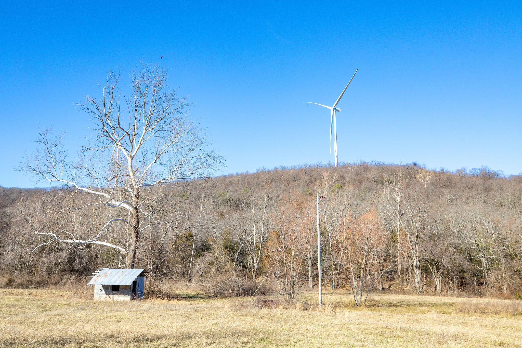 Photo 26 - Land for sale – Tbd  County Road 906   Green Forest, AR