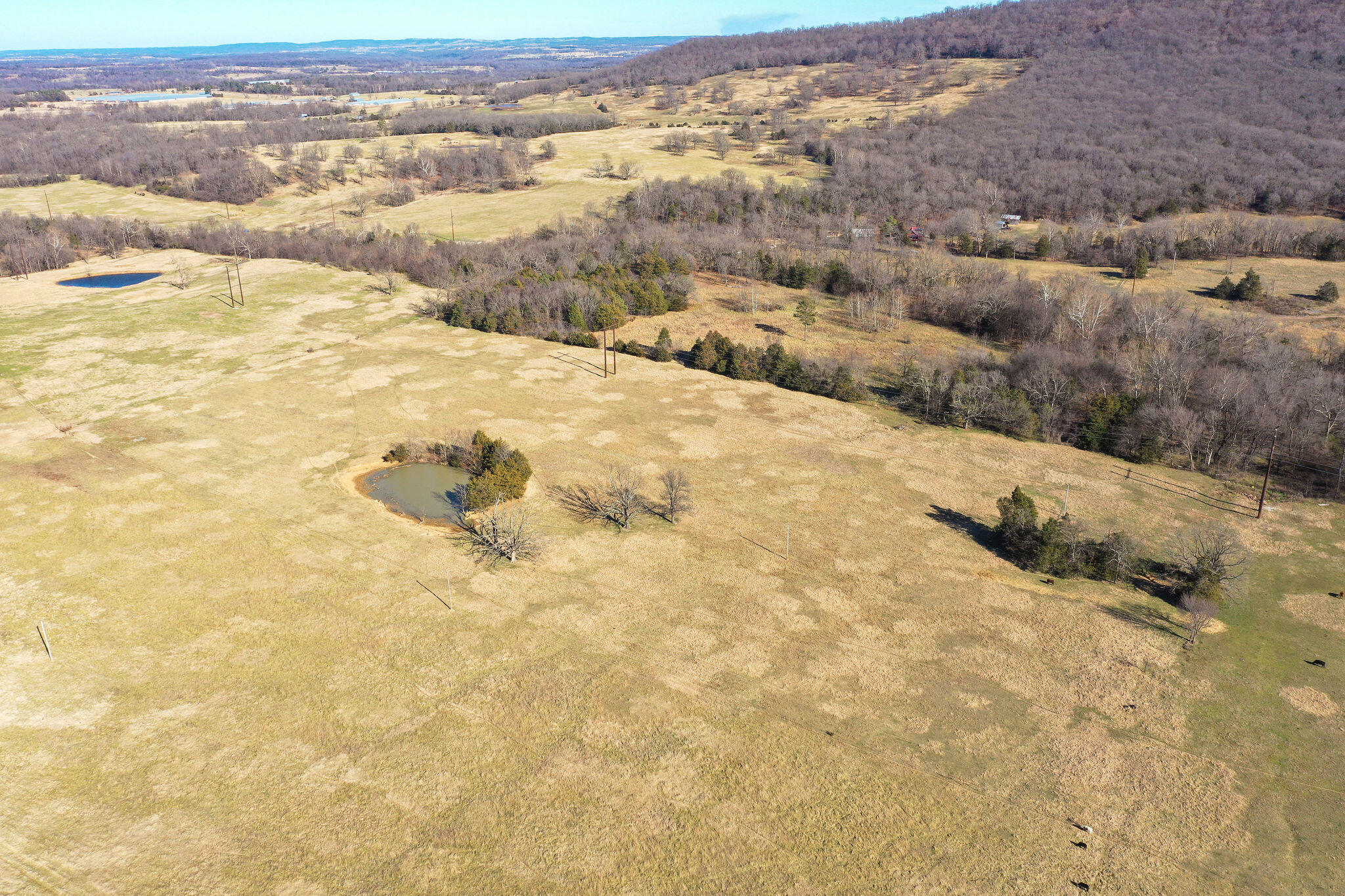 Photo 39 - Land for sale – Tbd  County Road 906   Green Forest, AR