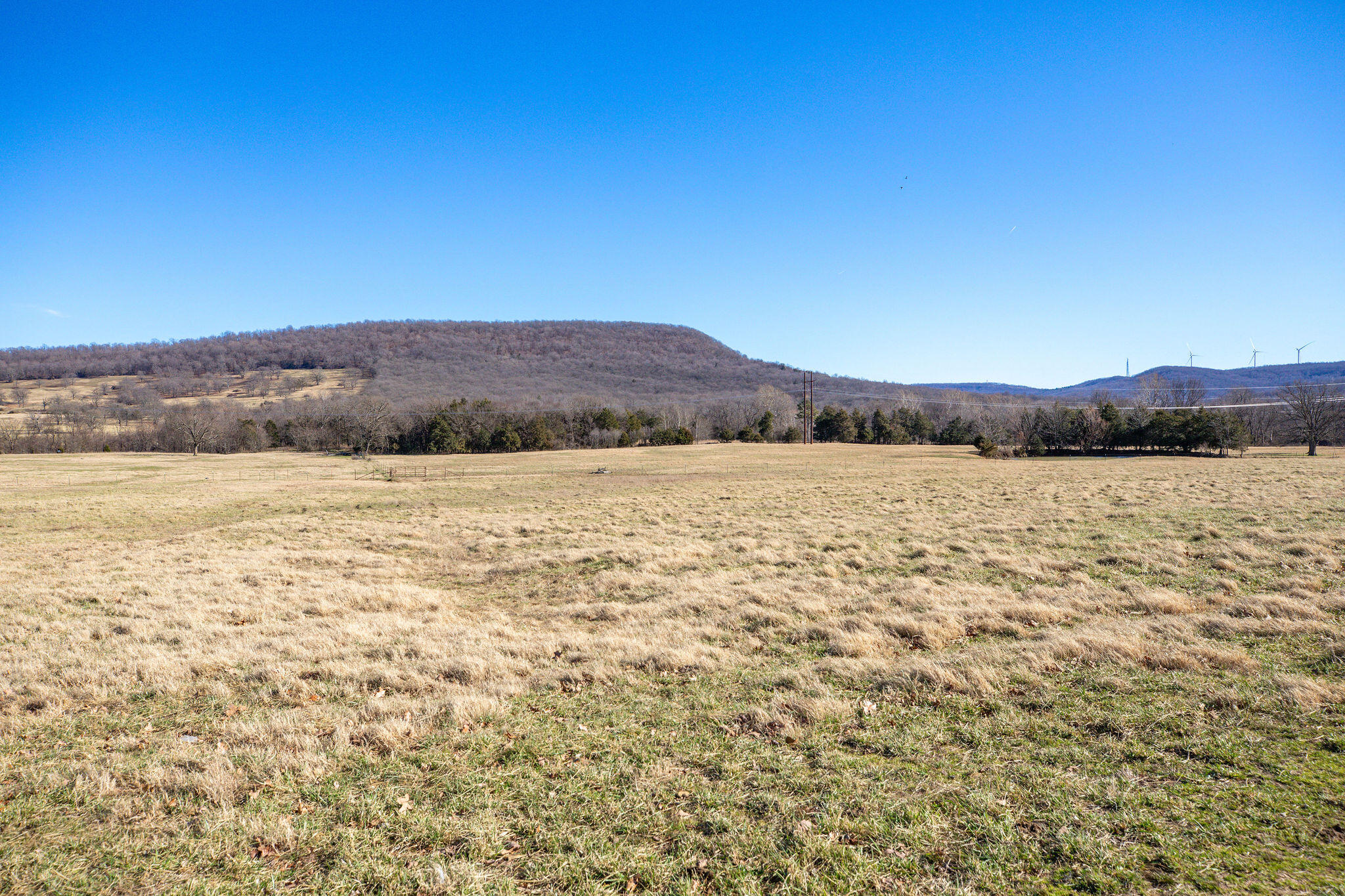 Photo 18 - Land for sale – Tbd  County Road 906   Green Forest, AR