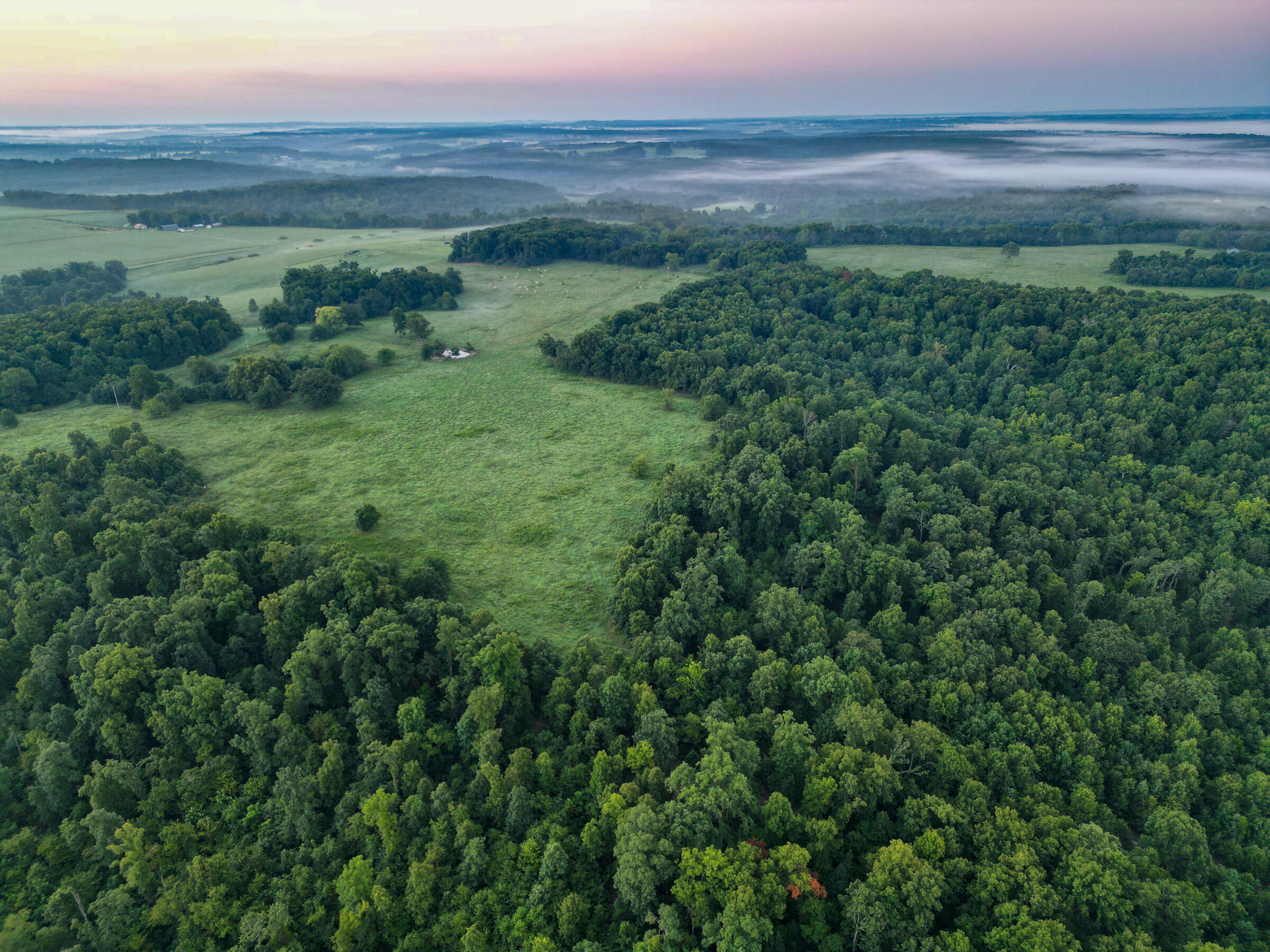 Photo 7 - Land for sale – 000  Grimes Mill Drive  Mountain Grove, MO