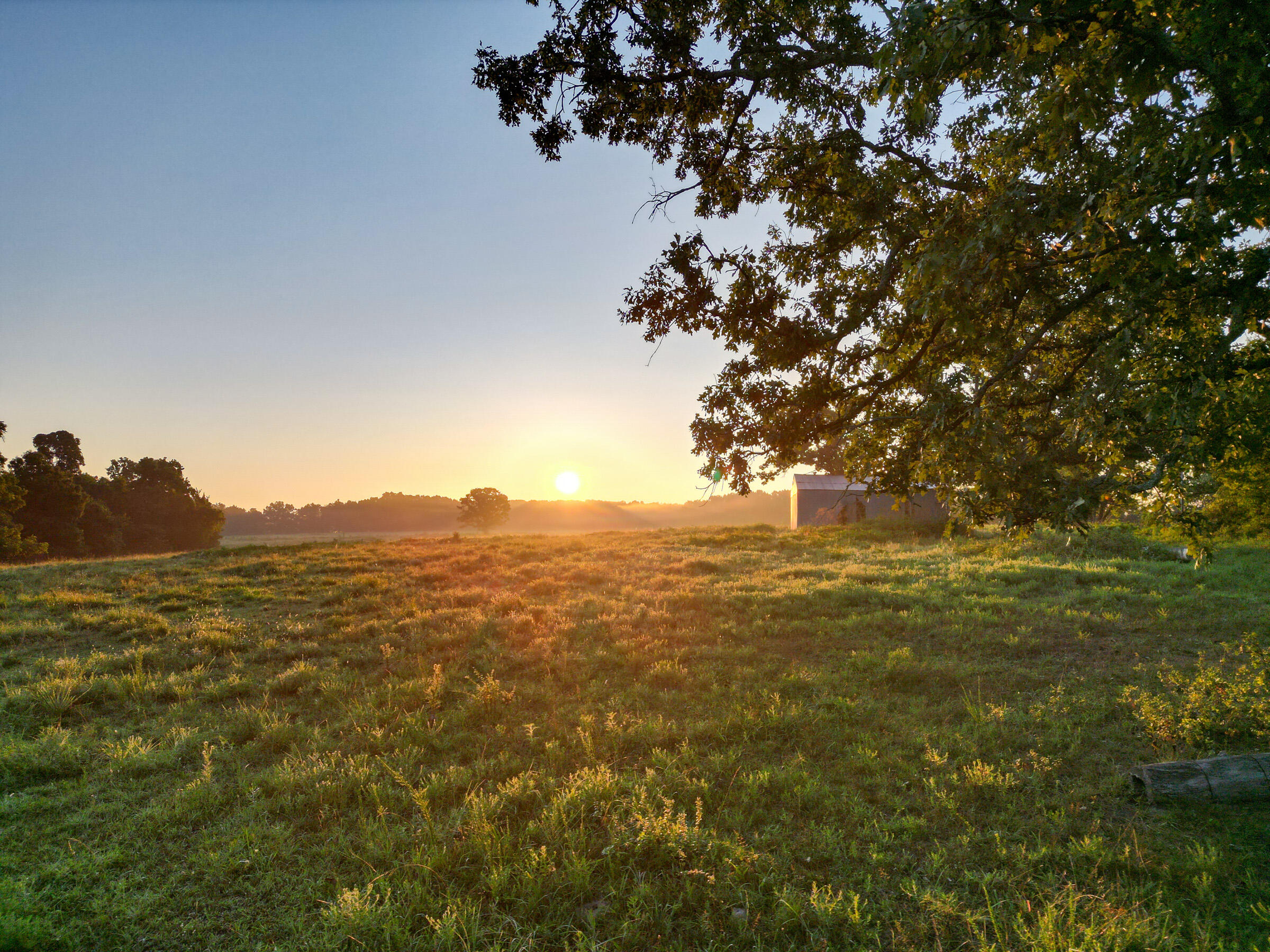 Photo 4 - Land for sale – 000  Grimes Mill Drive  Mountain Grove, MO