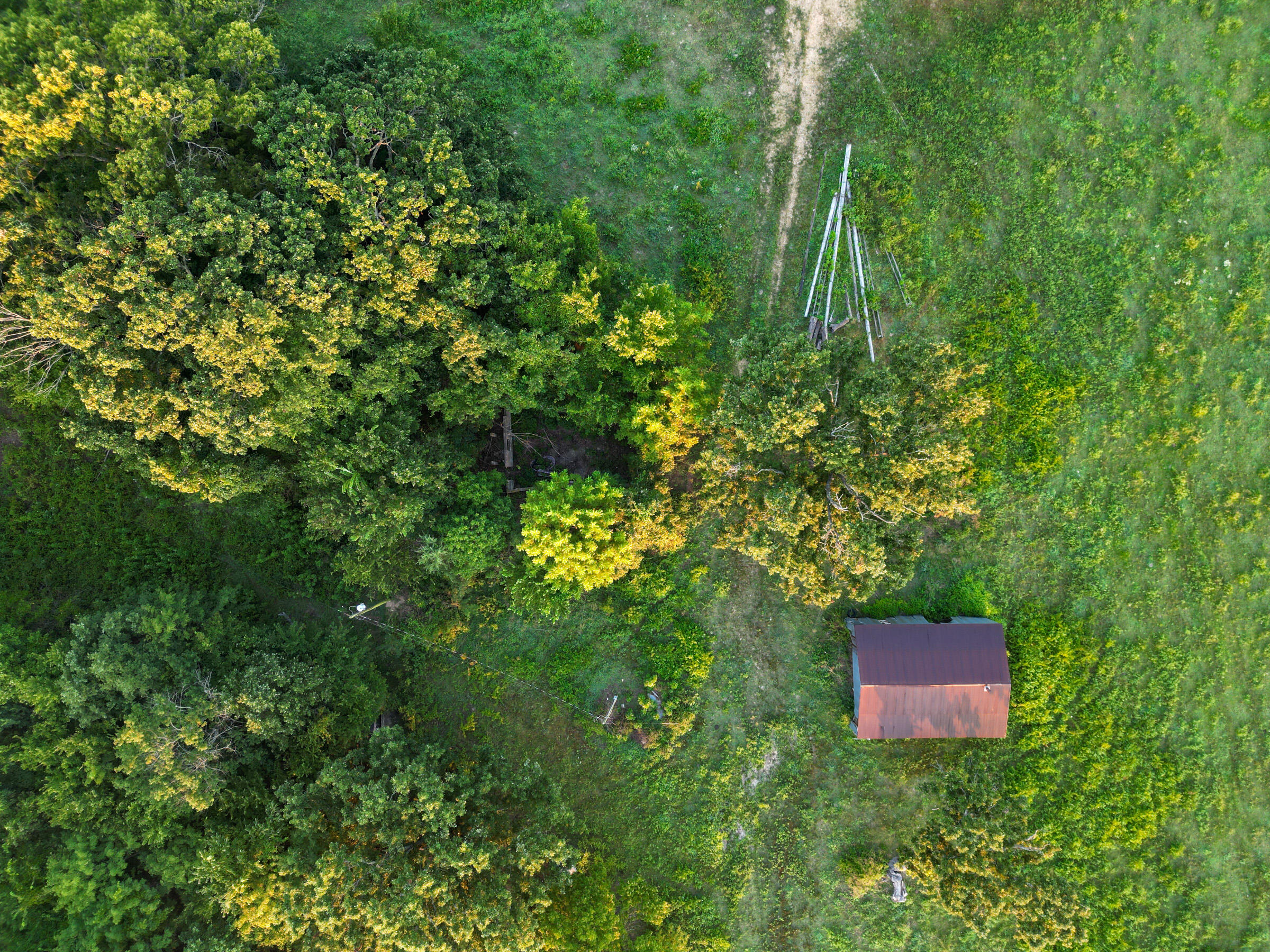 Photo 20 - Land for sale – 000  Grimes Mill Drive  Mountain Grove, MO