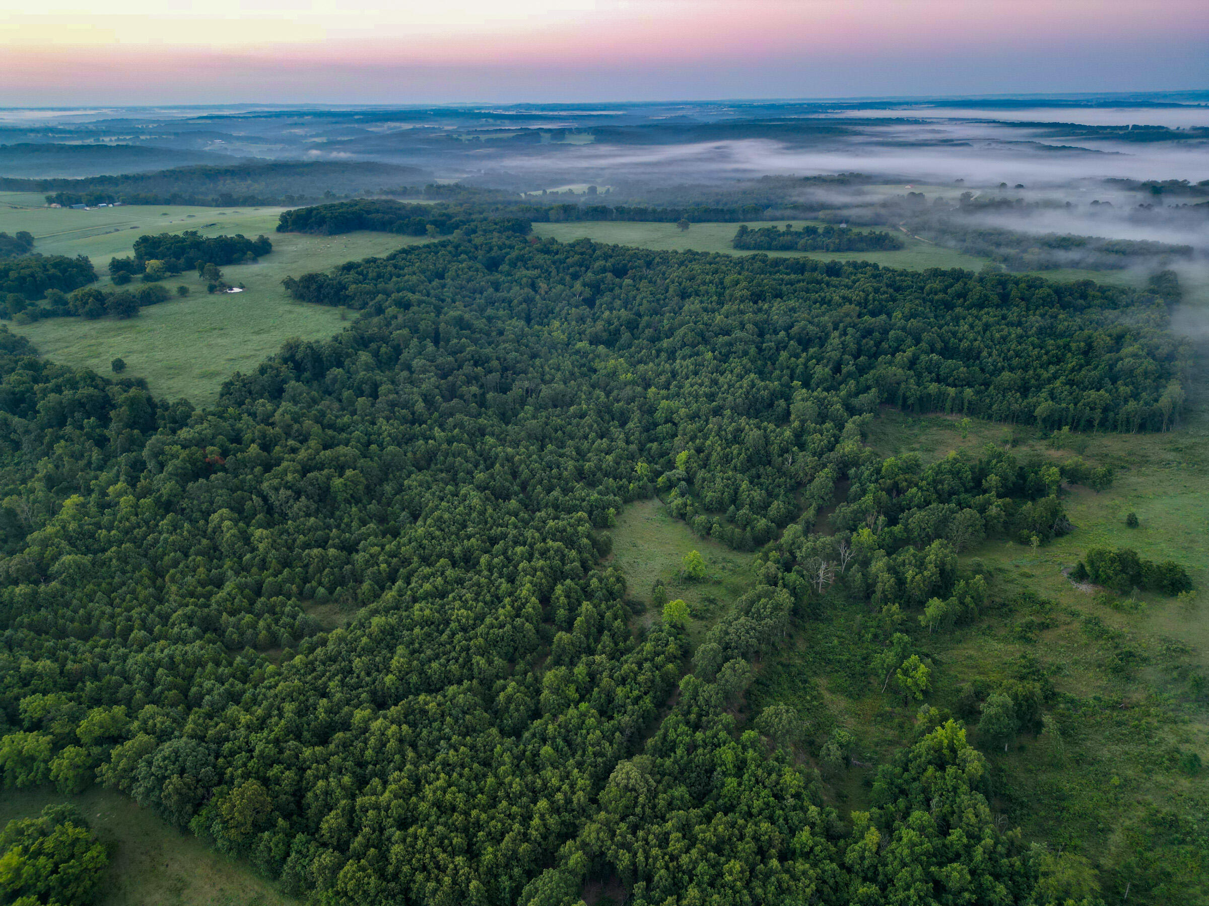 Photo 8 - Land for sale – 000  Grimes Mill Drive  Mountain Grove, MO