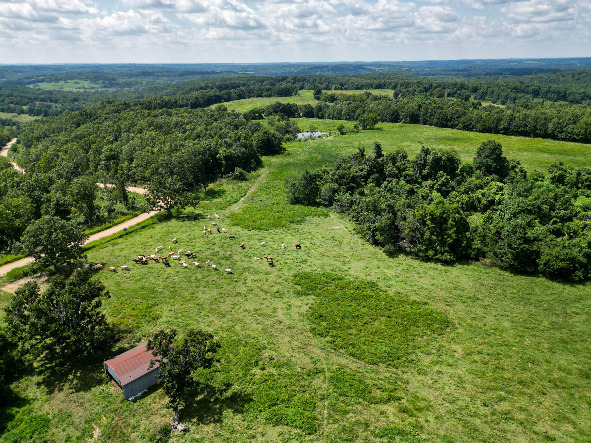 Land for sale – 000 Grimes Mill Drive Mountain Grove, MO