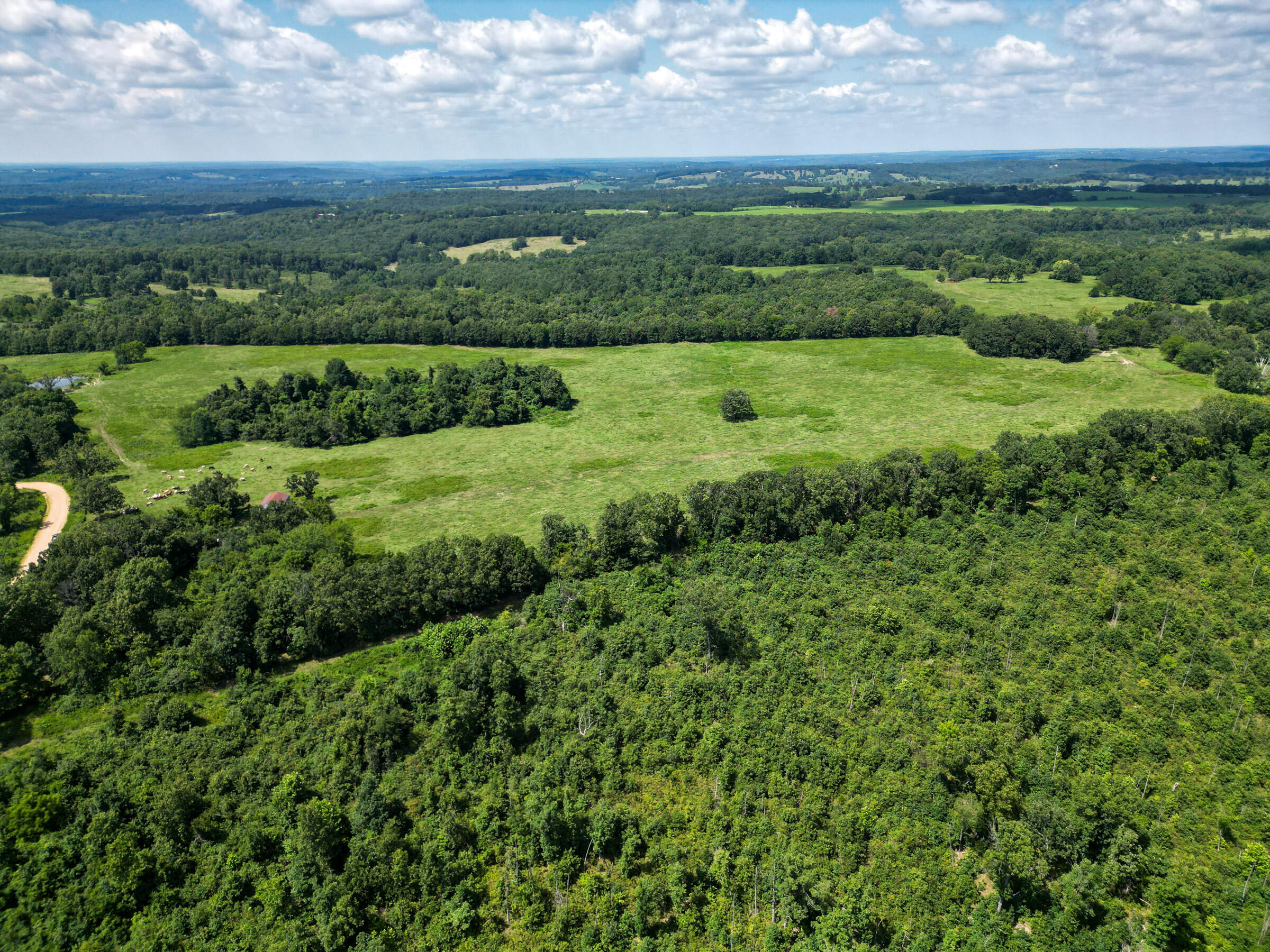 Photo 11 - Land for sale – 000  Grimes Mill Drive  Mountain Grove, MO