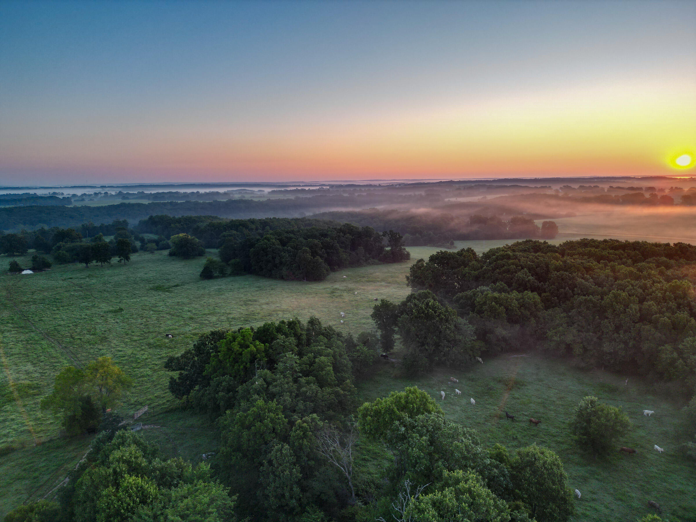 Photo 6 - Land for sale – 000  Grimes Mill Drive  Mountain Grove, MO