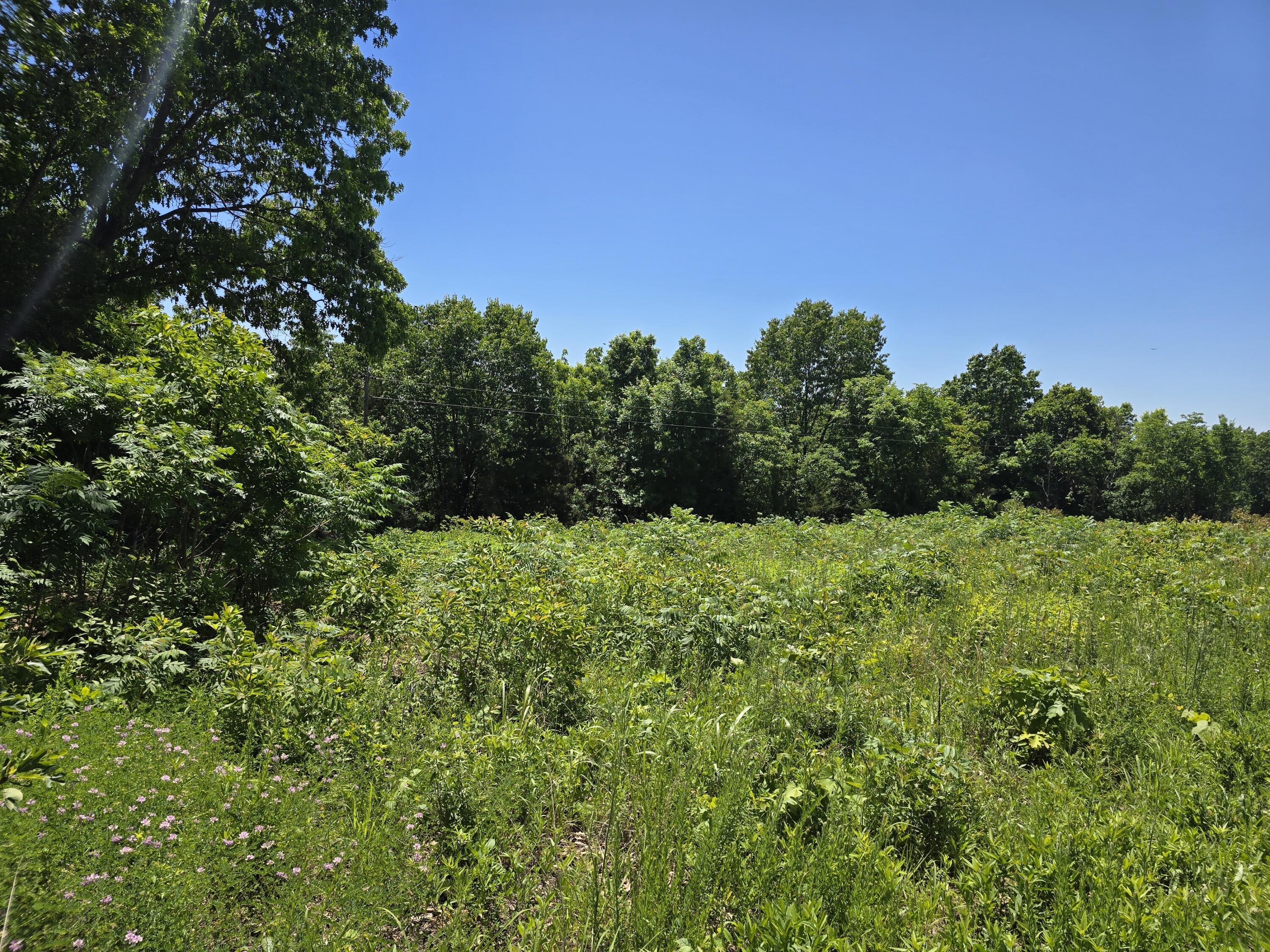 Photo 10 - Land for sale – 16850  Old Cricket Road  Omaha, AR