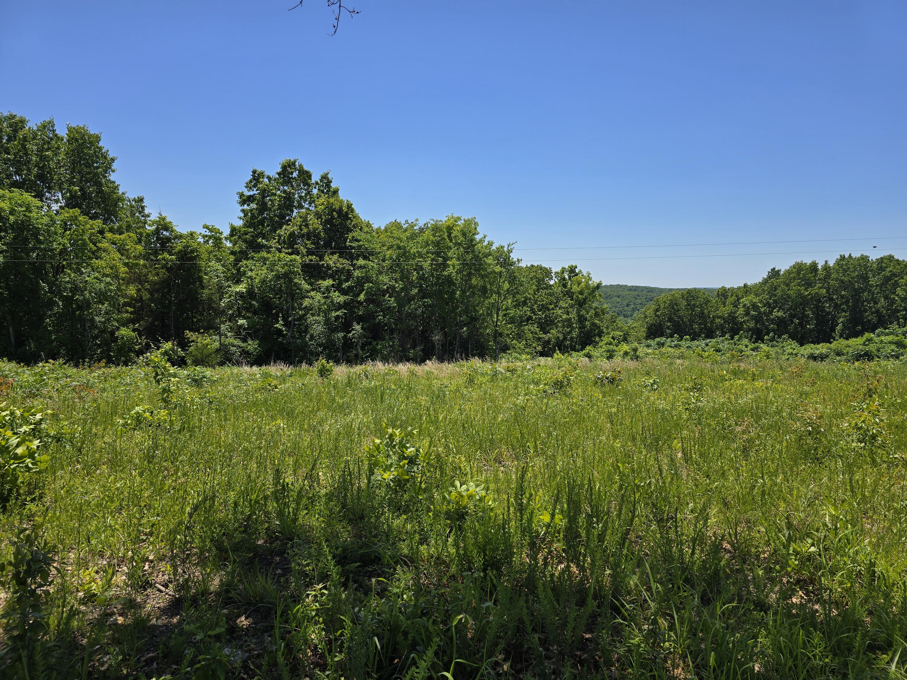 Photo 13 - Land for sale – 16850  Old Cricket Road  Omaha, AR