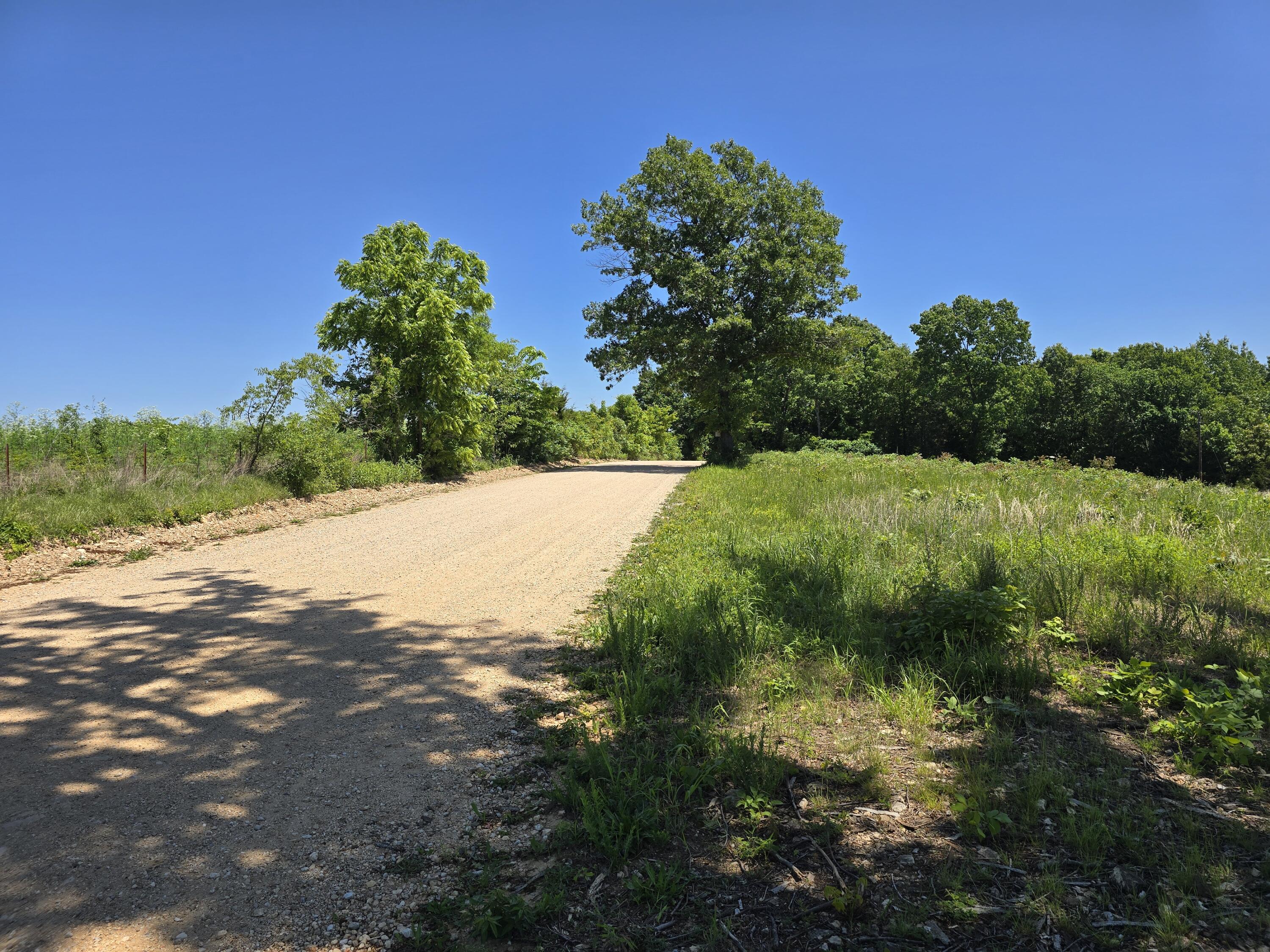 Photo 19 - Land for sale – 16850  Old Cricket Road  Omaha, AR