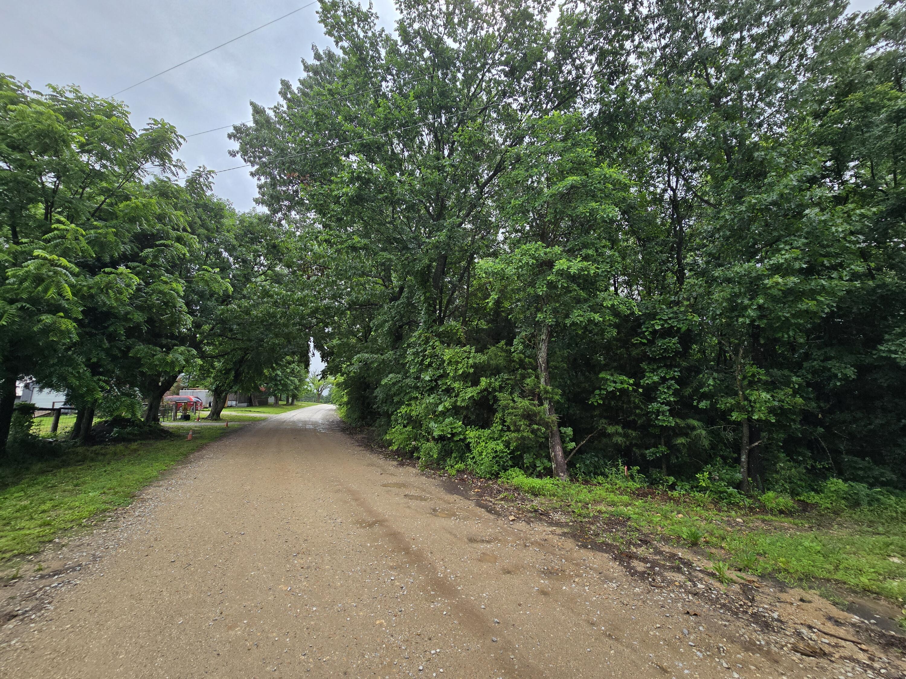 Photo 31 - Land for sale – 16850  Old Cricket Road  Omaha, AR