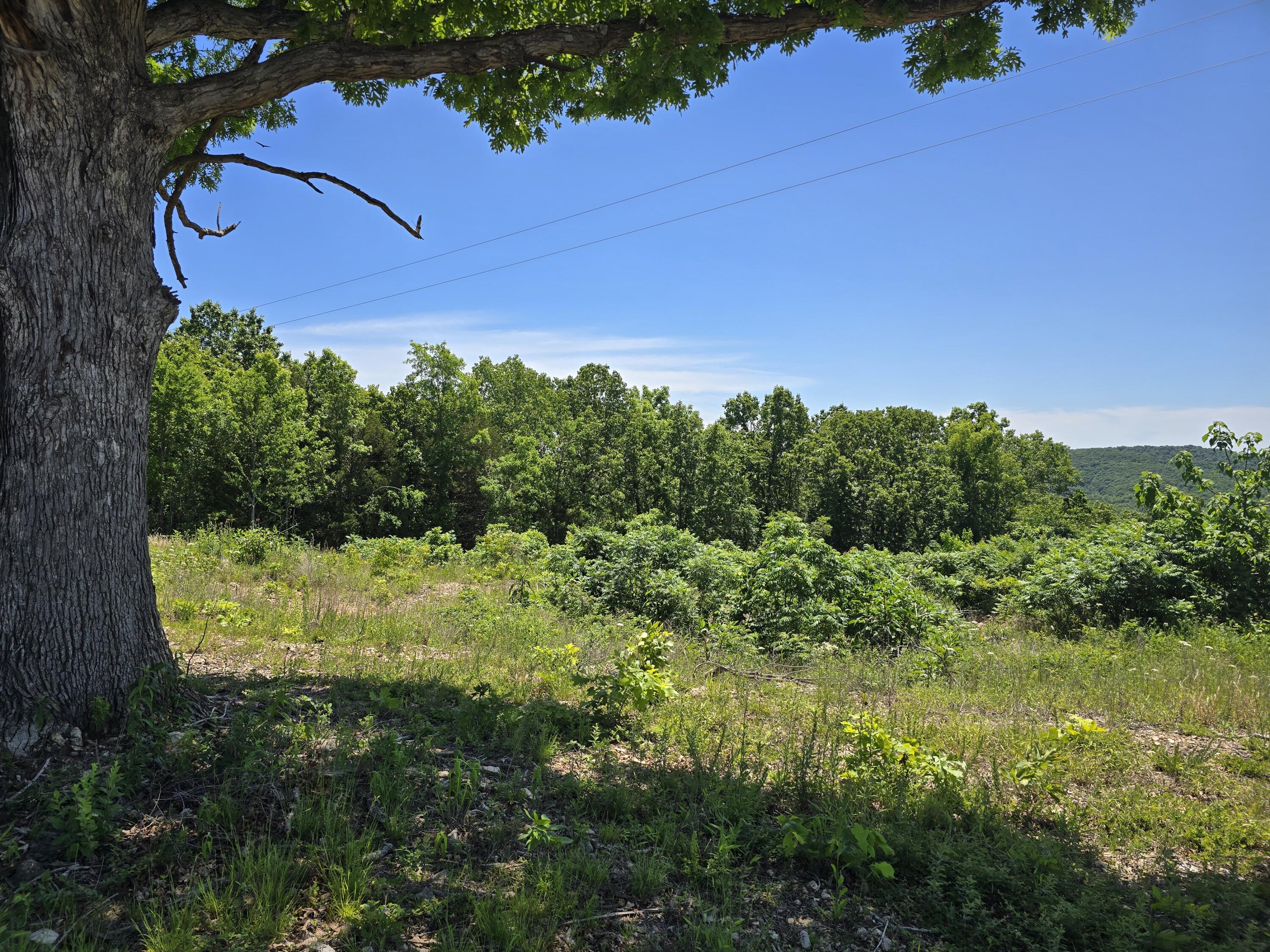 Photo 15 - Land for sale – 16850  Old Cricket Road  Omaha, AR