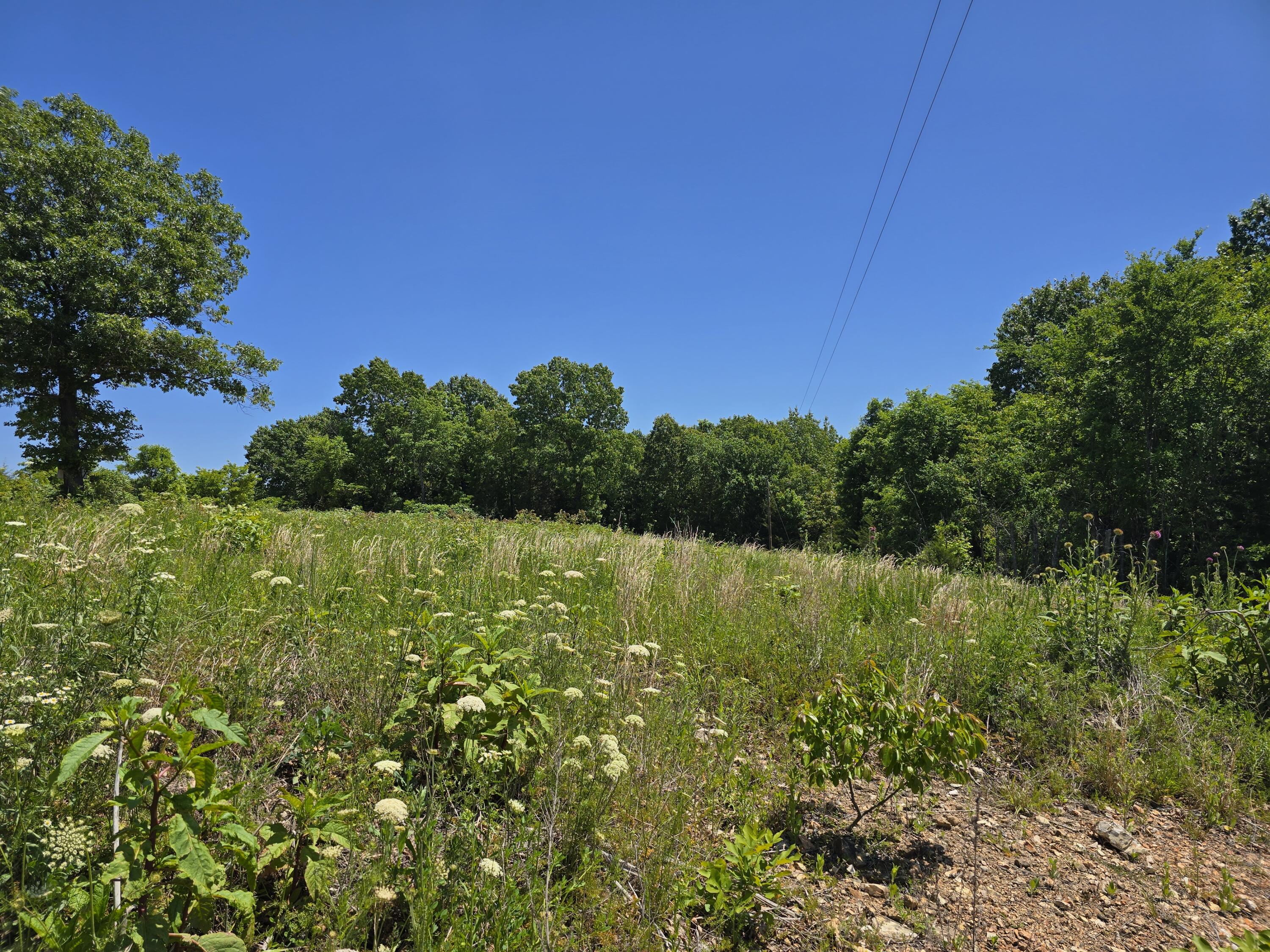 Photo 17 - Land for sale – 16850  Old Cricket Road  Omaha, AR