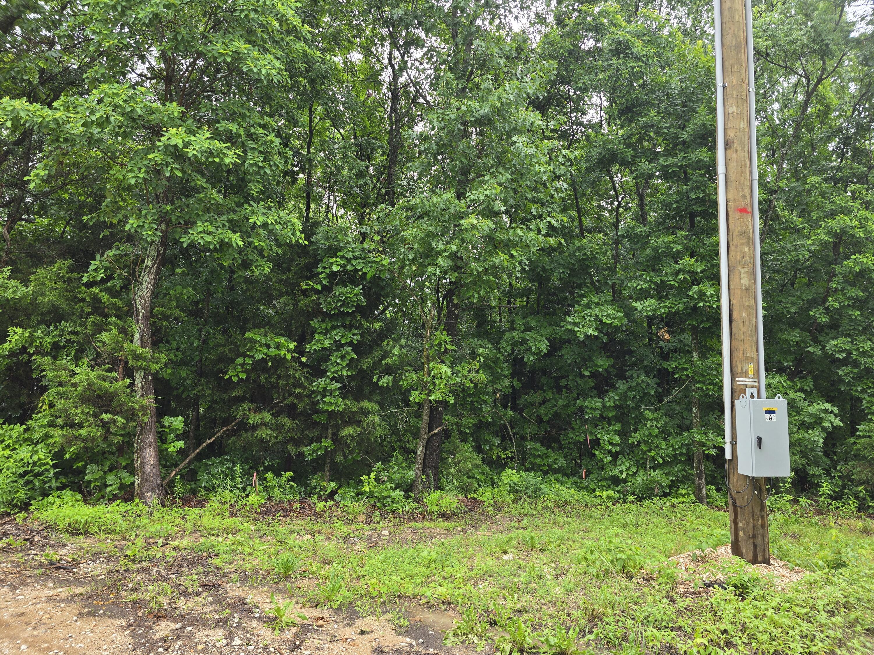 Photo 26 - Land for sale – 16850  Old Cricket Road  Omaha, AR