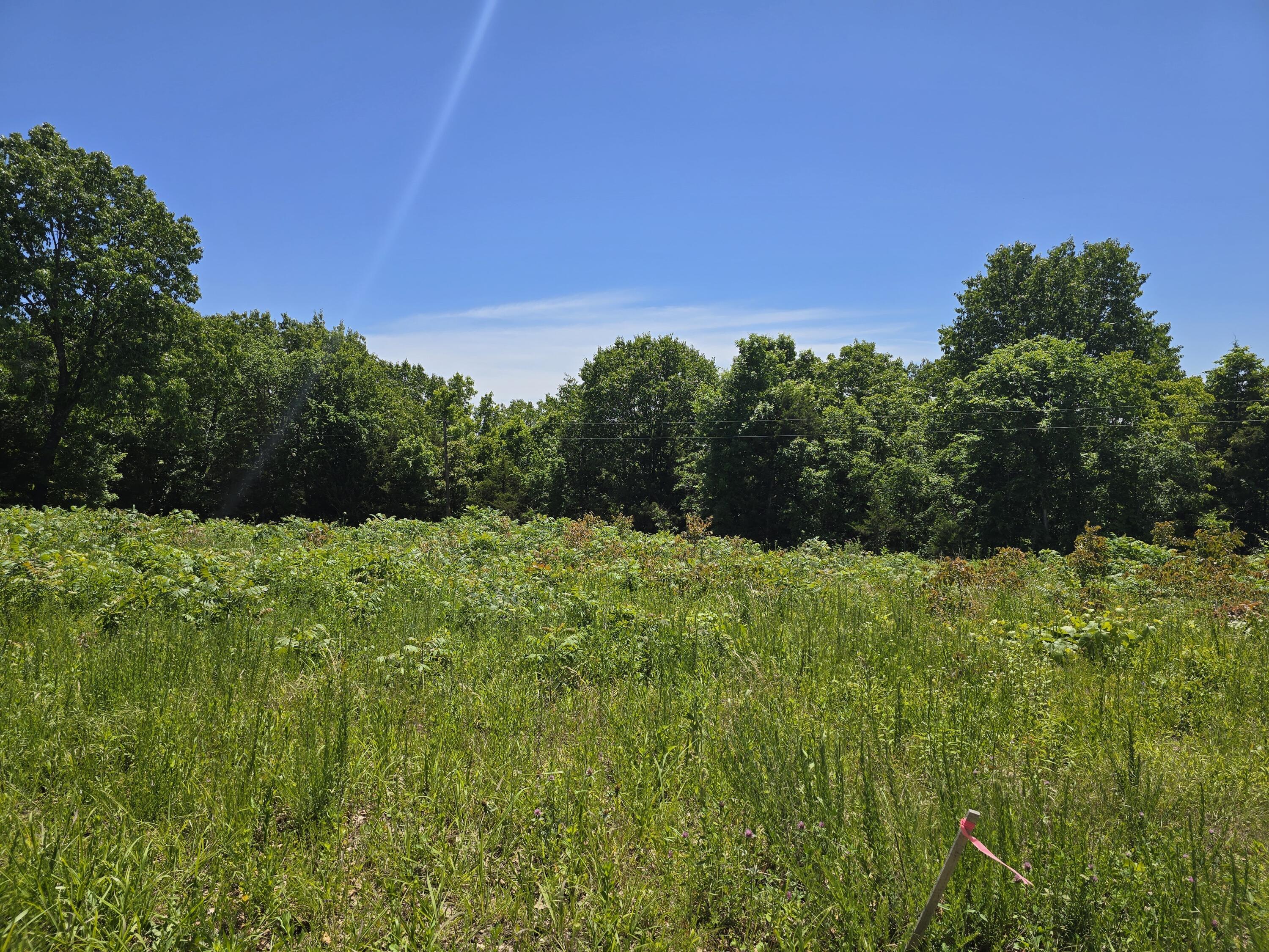 Photo 11 - Land for sale – 16850  Old Cricket Road  Omaha, AR
