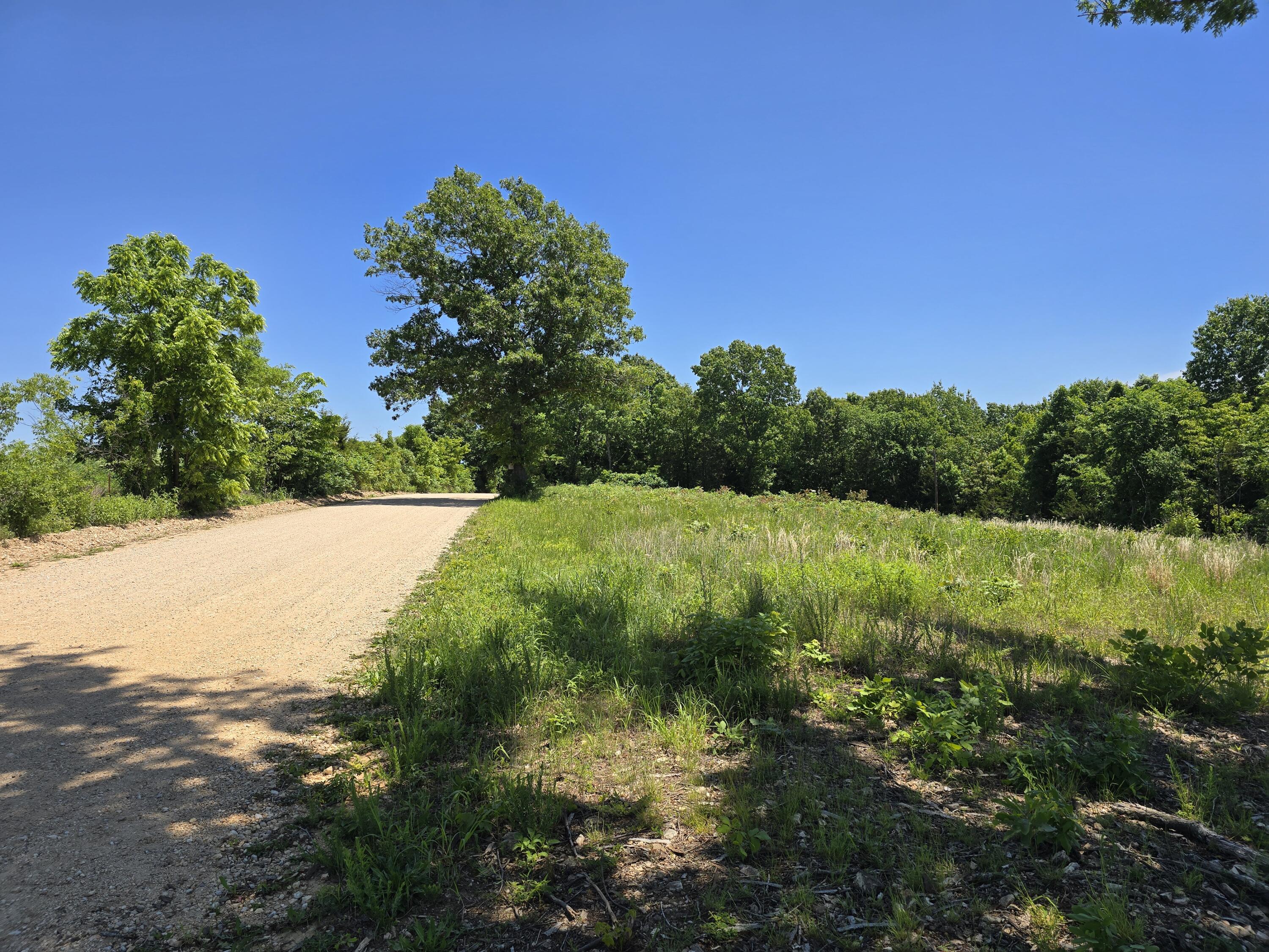 Photo 18 - Land for sale – 16850  Old Cricket Road  Omaha, AR