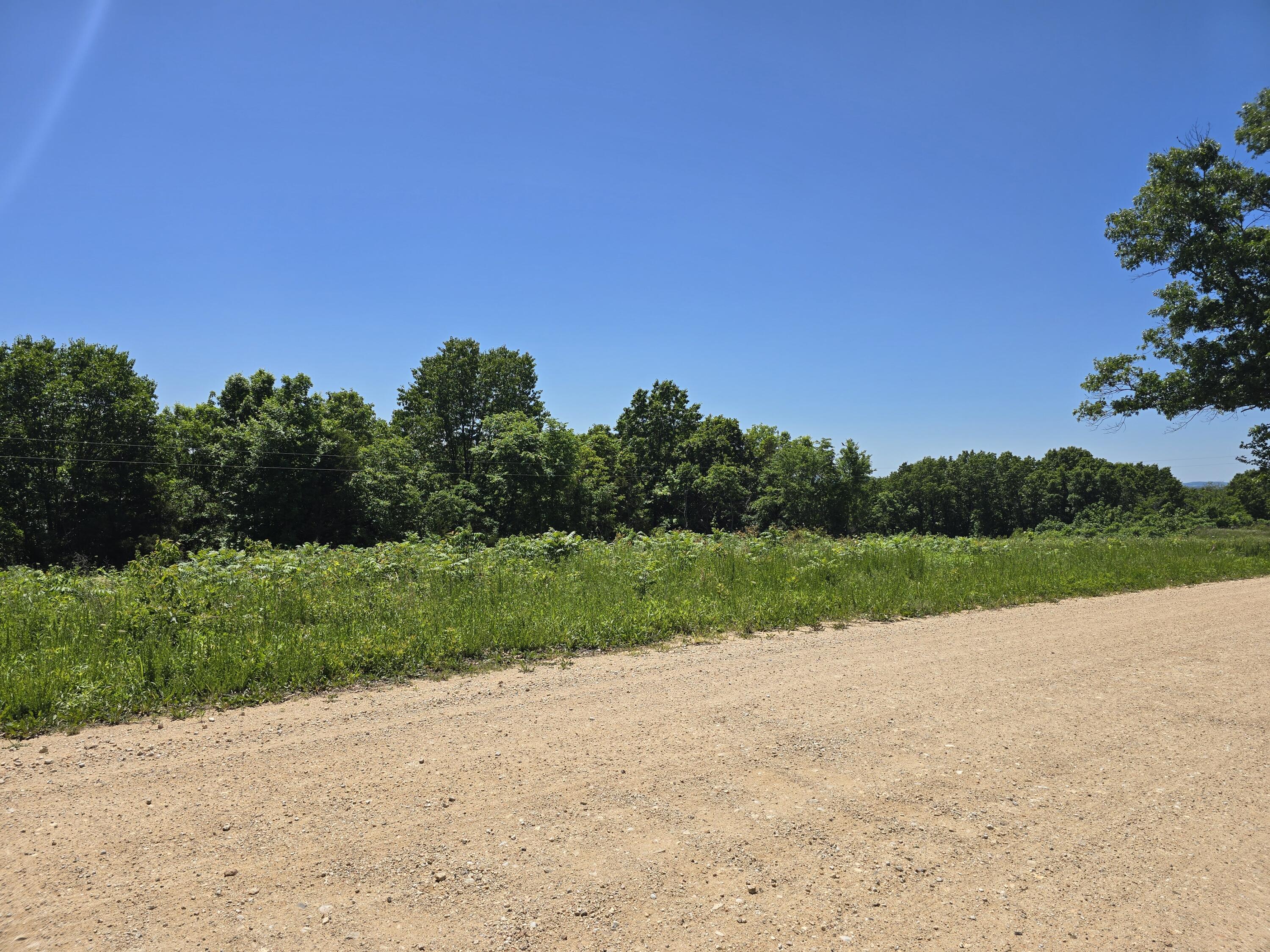 Photo 7 - Land for sale – 16850  Old Cricket Road  Omaha, AR