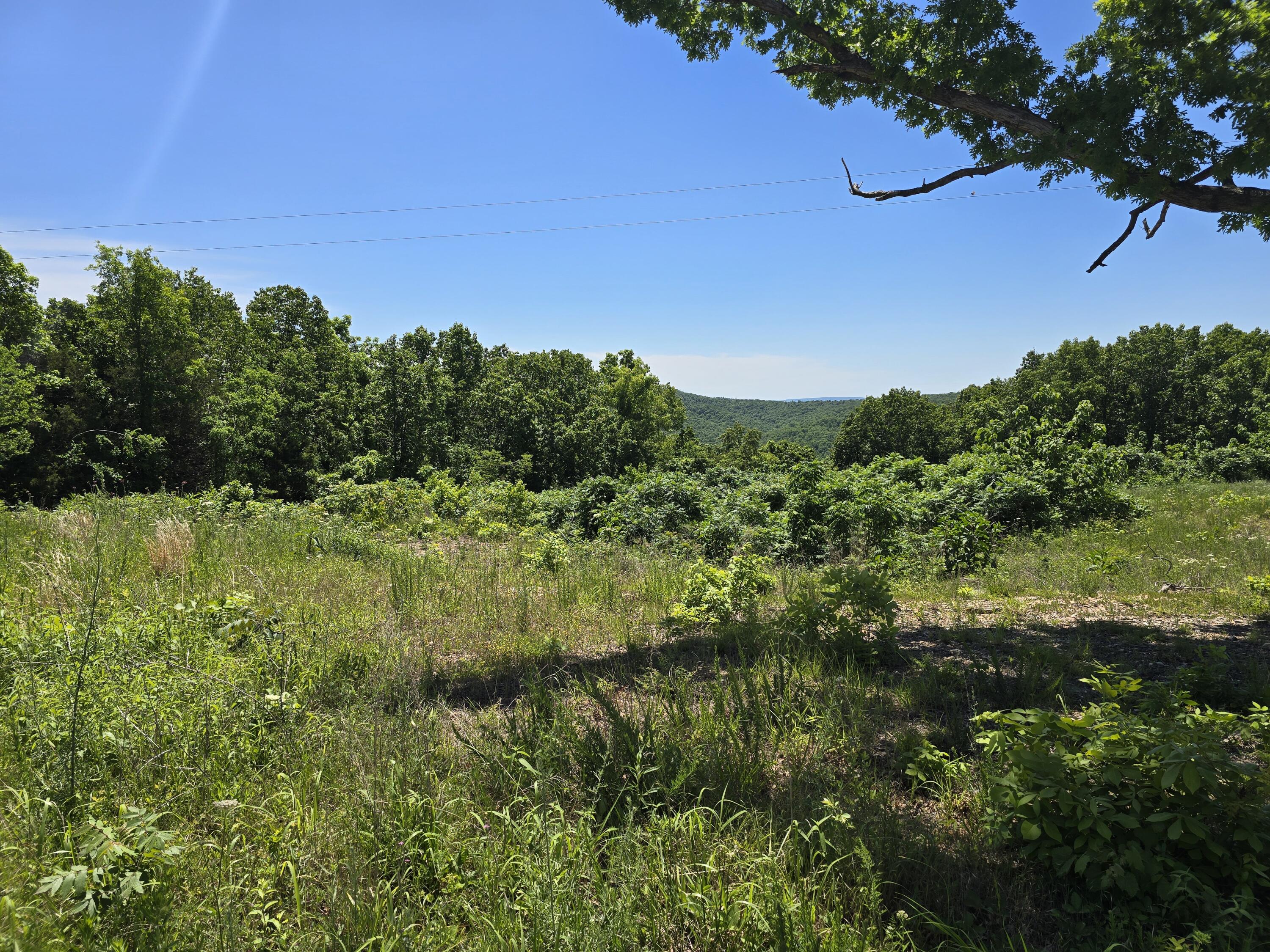 Photo 14 - Land for sale – 16850  Old Cricket Road  Omaha, AR