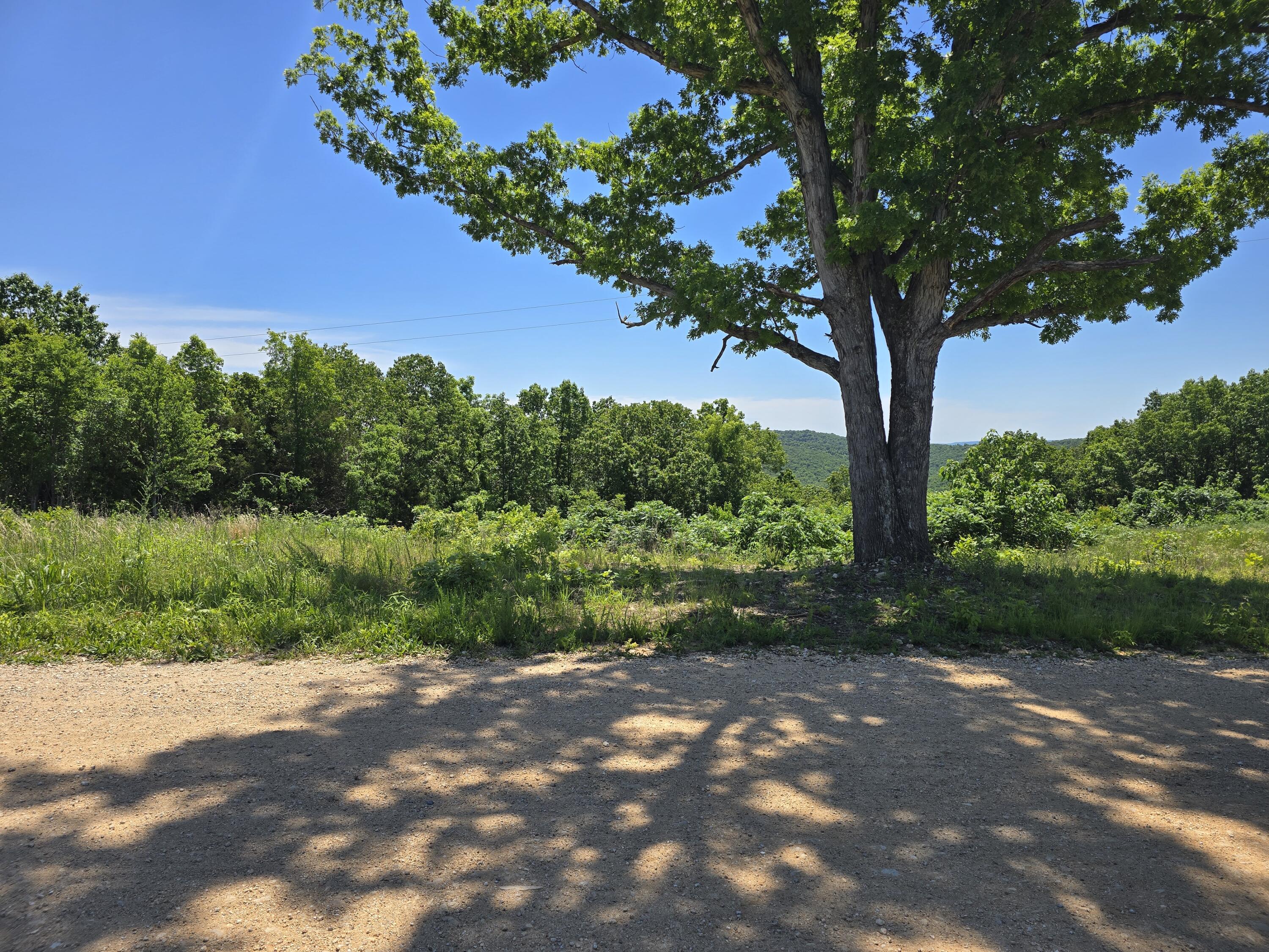 Photo 5 - Land for sale – 16850  Old Cricket Road  Omaha, AR