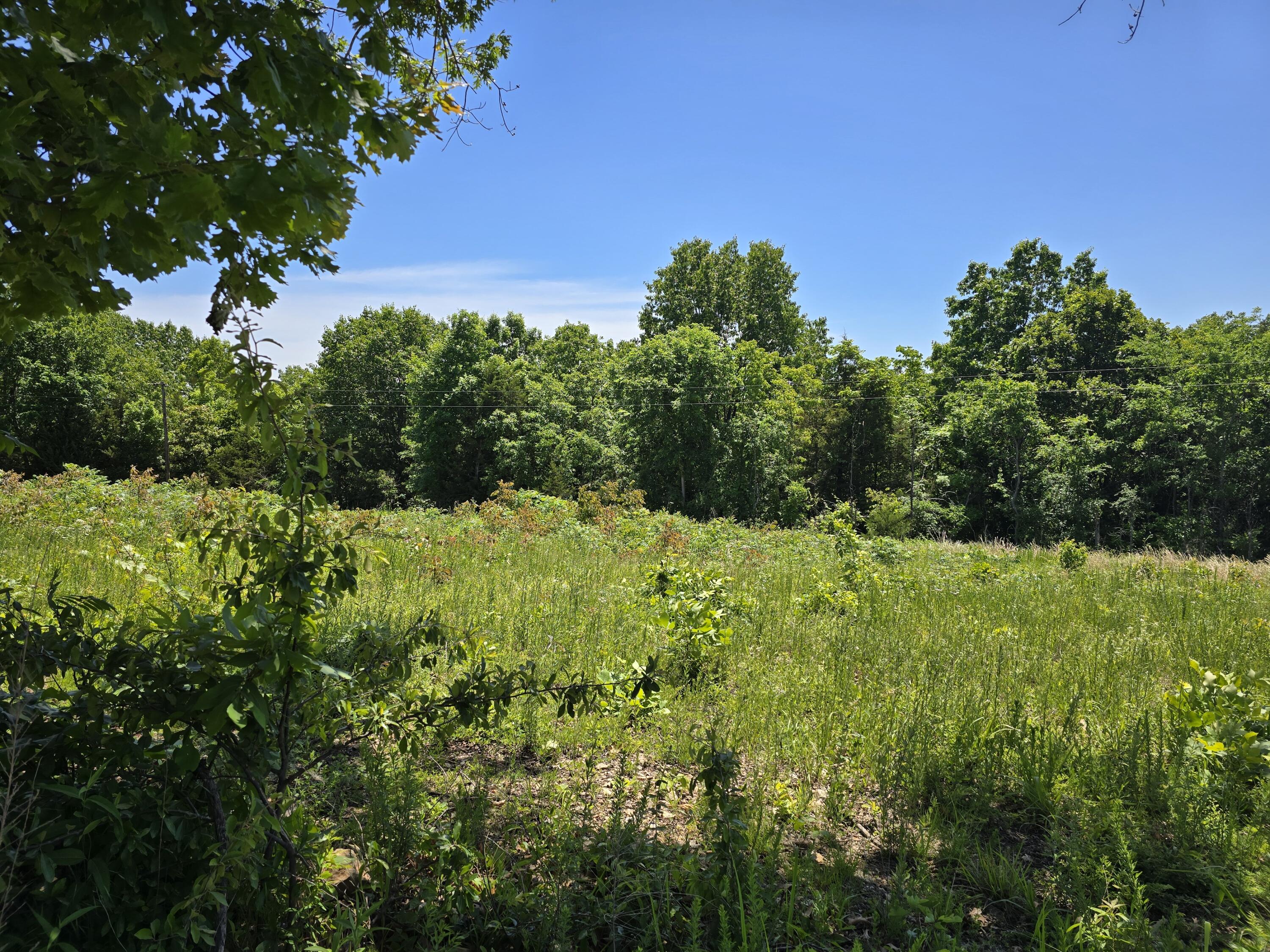 Photo 12 - Land for sale – 16850  Old Cricket Road  Omaha, AR