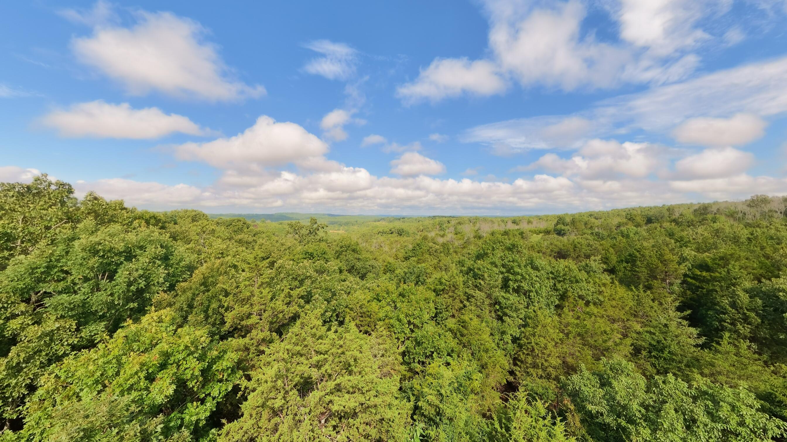 Photo 9 - Land for sale – 000  County Road 477   Clarkridge, AR