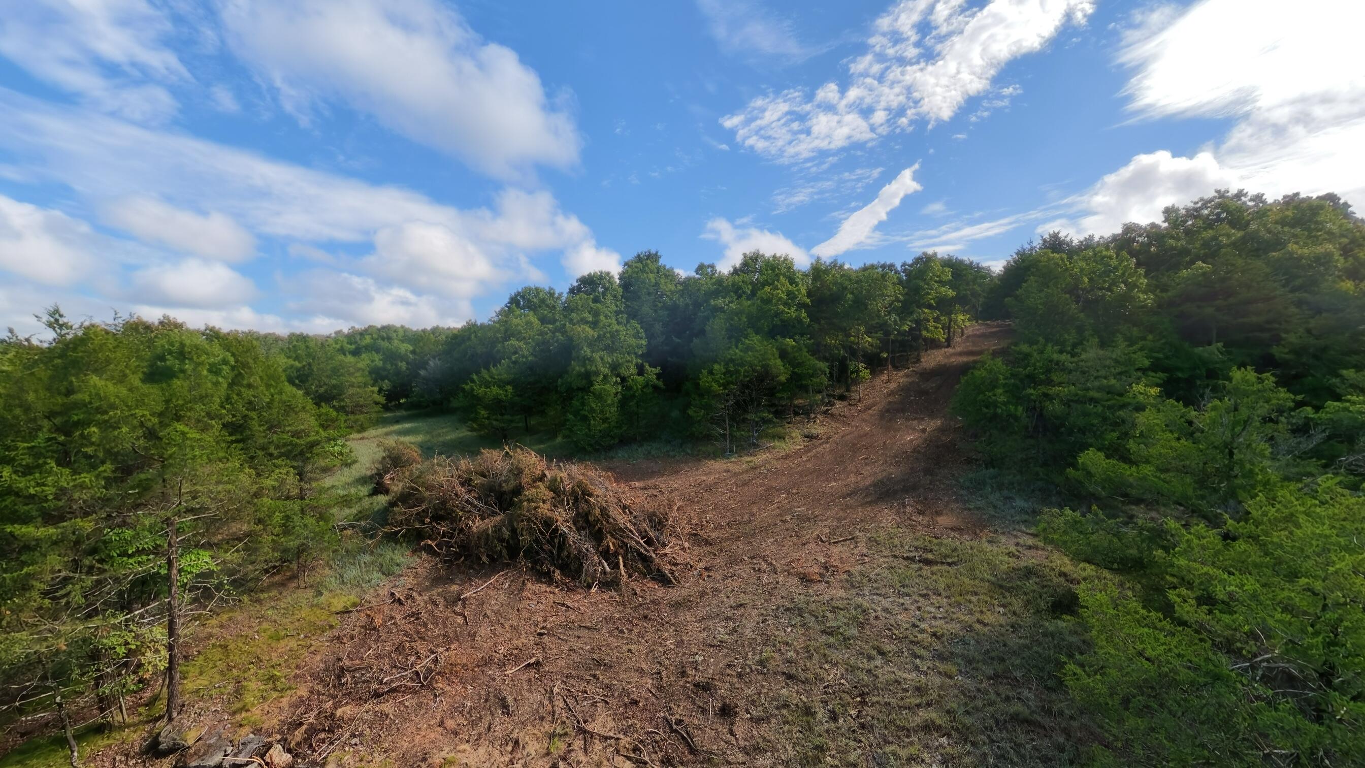 Photo 10 - Land for sale – 000  County Road 477   Clarkridge, AR