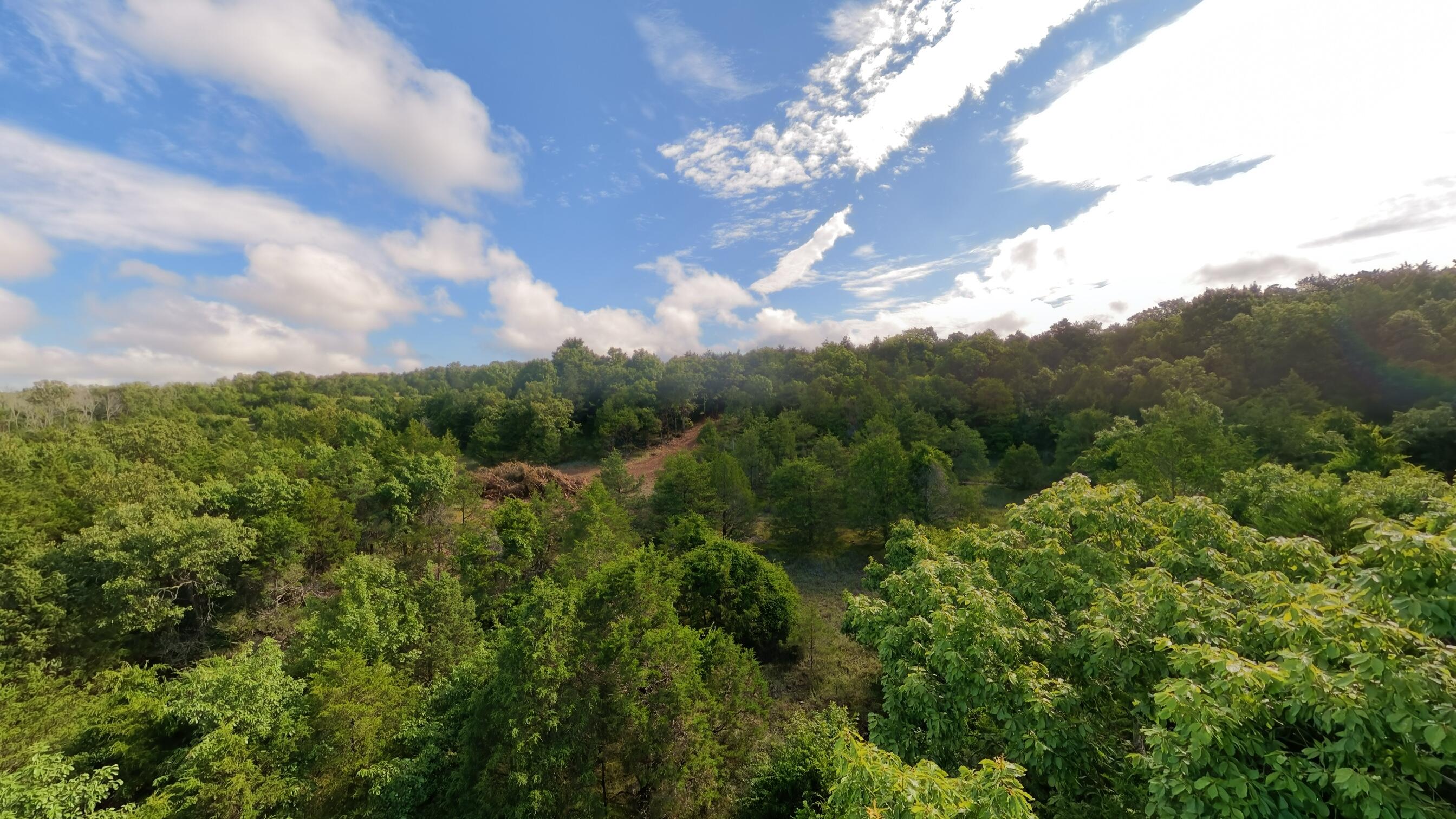 Photo 7 - Land for sale – 000  County Road 477   Clarkridge, AR