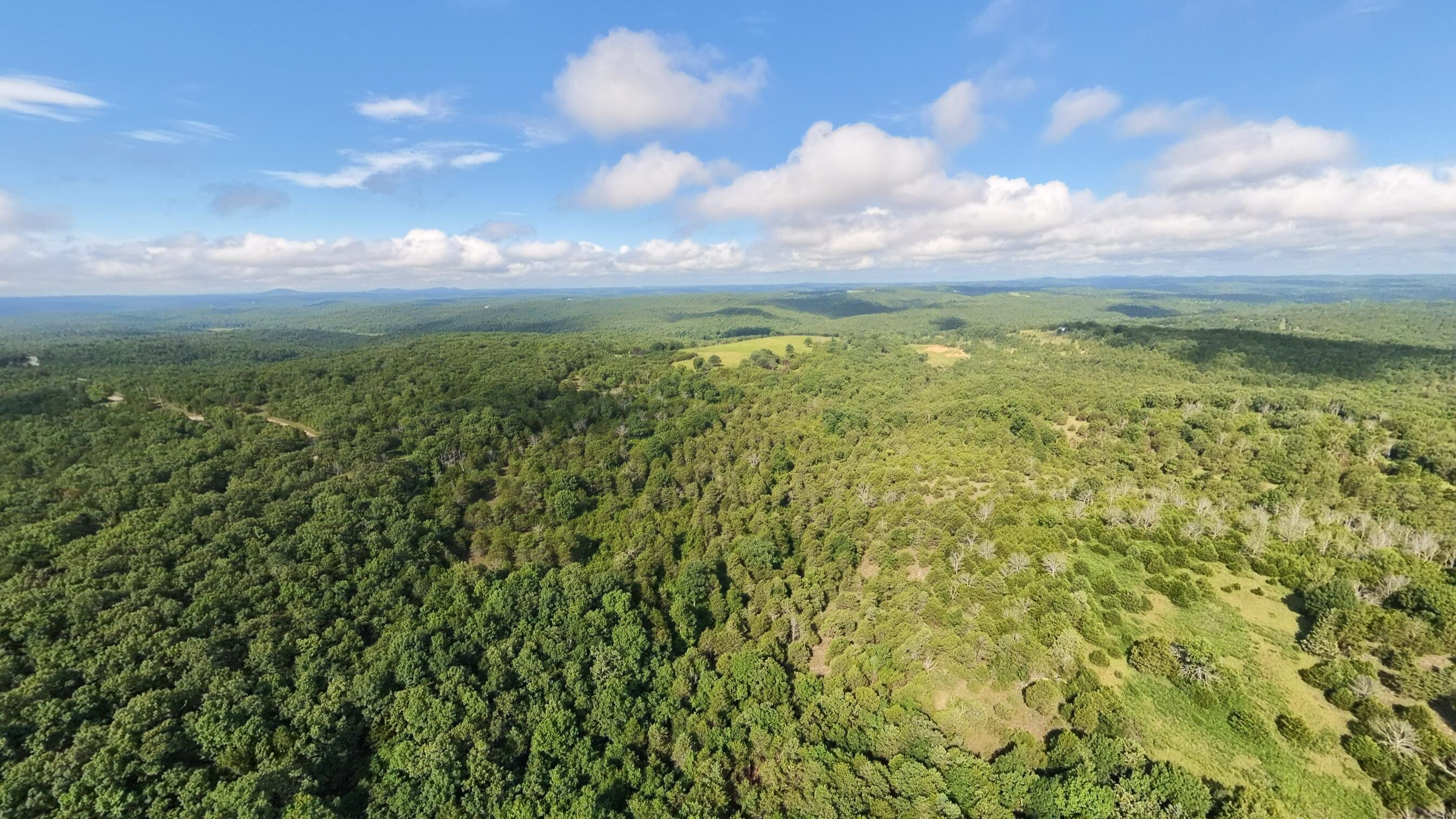 Photo 36 - Land for sale – 000  County Road 477   Clarkridge, AR