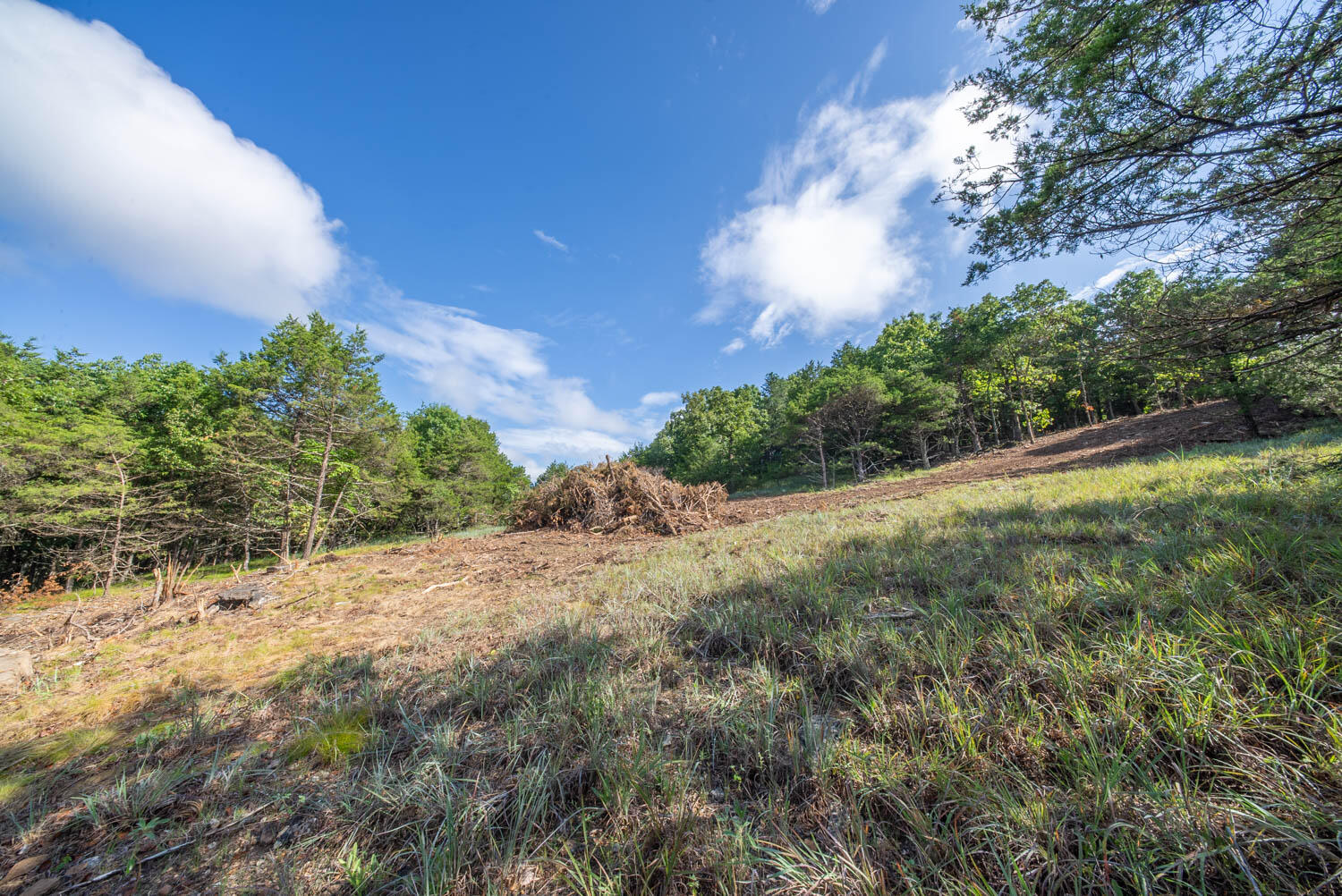 Photo 29 - Land for sale – 000  County Road 477   Clarkridge, AR
