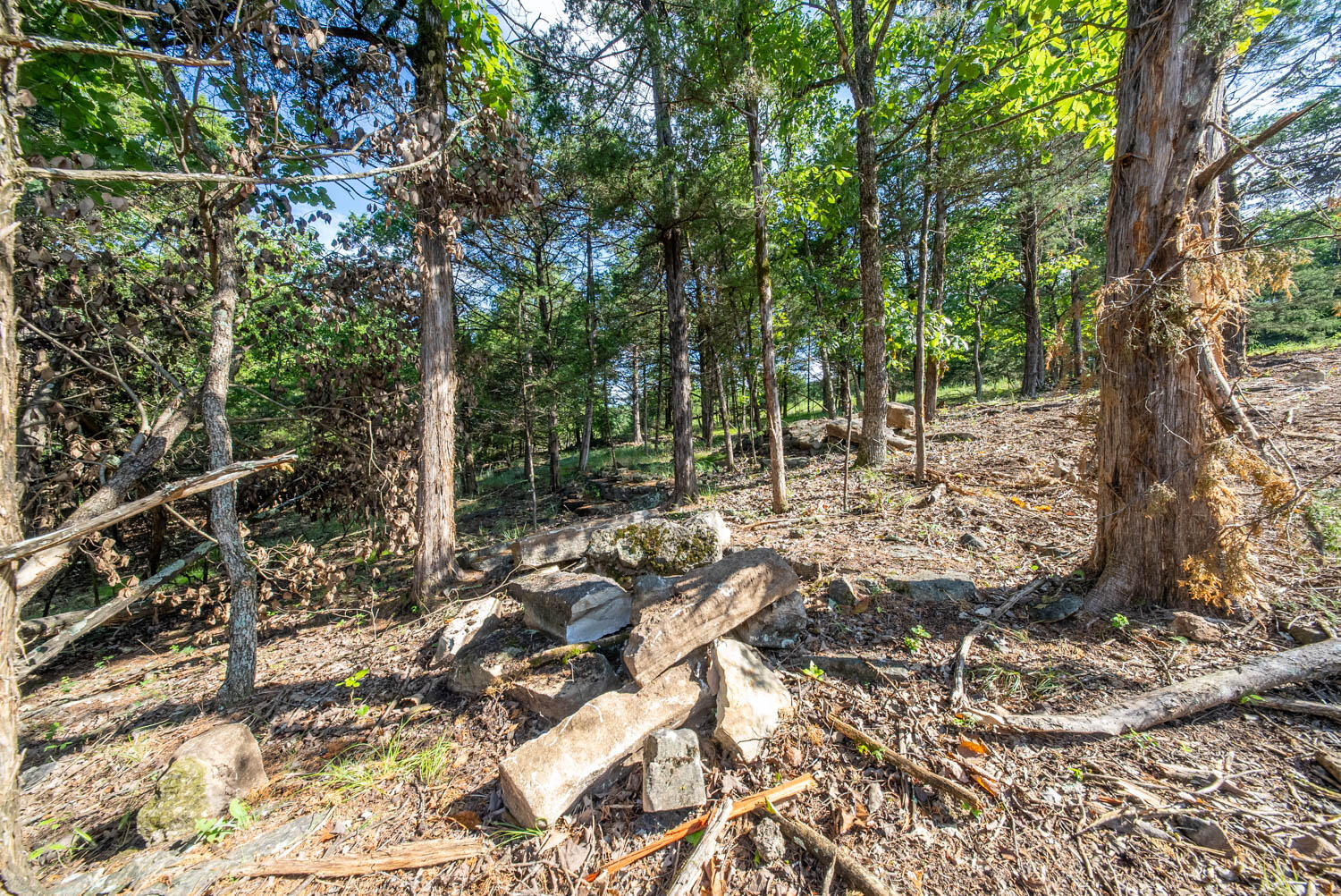 Photo 31 - Land for sale – 000  County Road 477   Clarkridge, AR