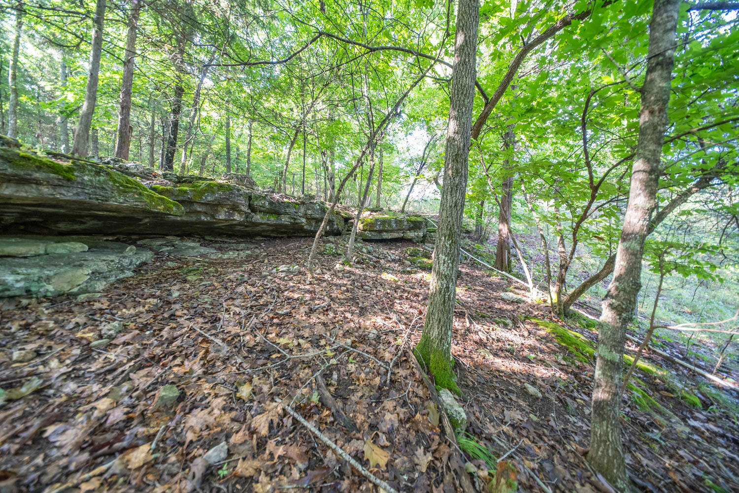 Photo 24 - Land for sale – 000  County Road 477   Clarkridge, AR