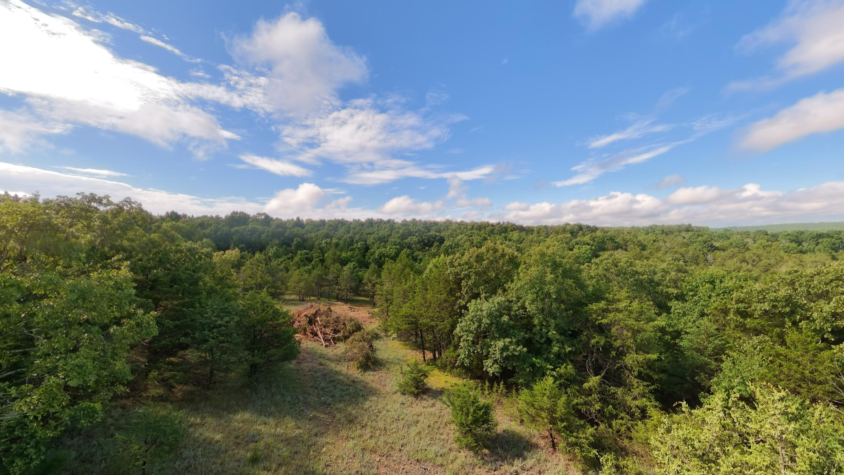 Photo 13 - Land for sale – 000  County Road 477   Clarkridge, AR