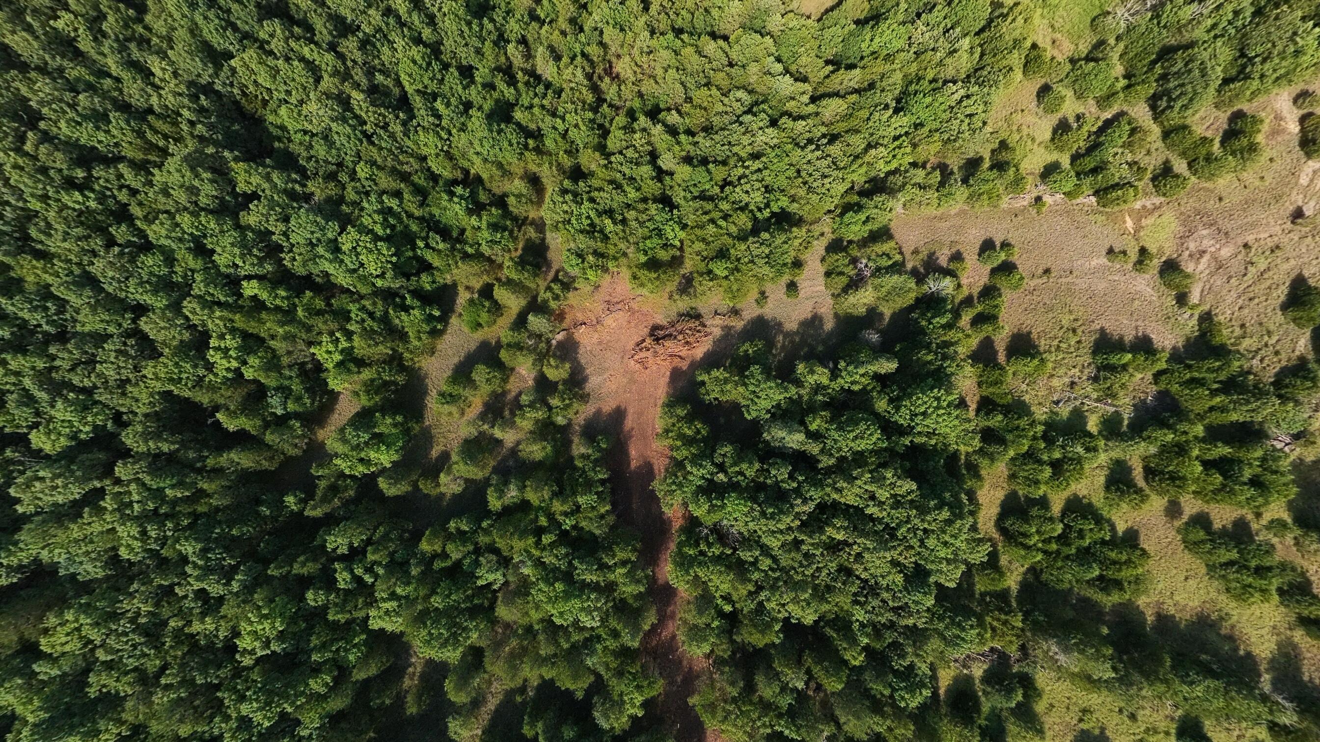 Photo 34 - Land for sale – 000  County Road 477   Clarkridge, AR