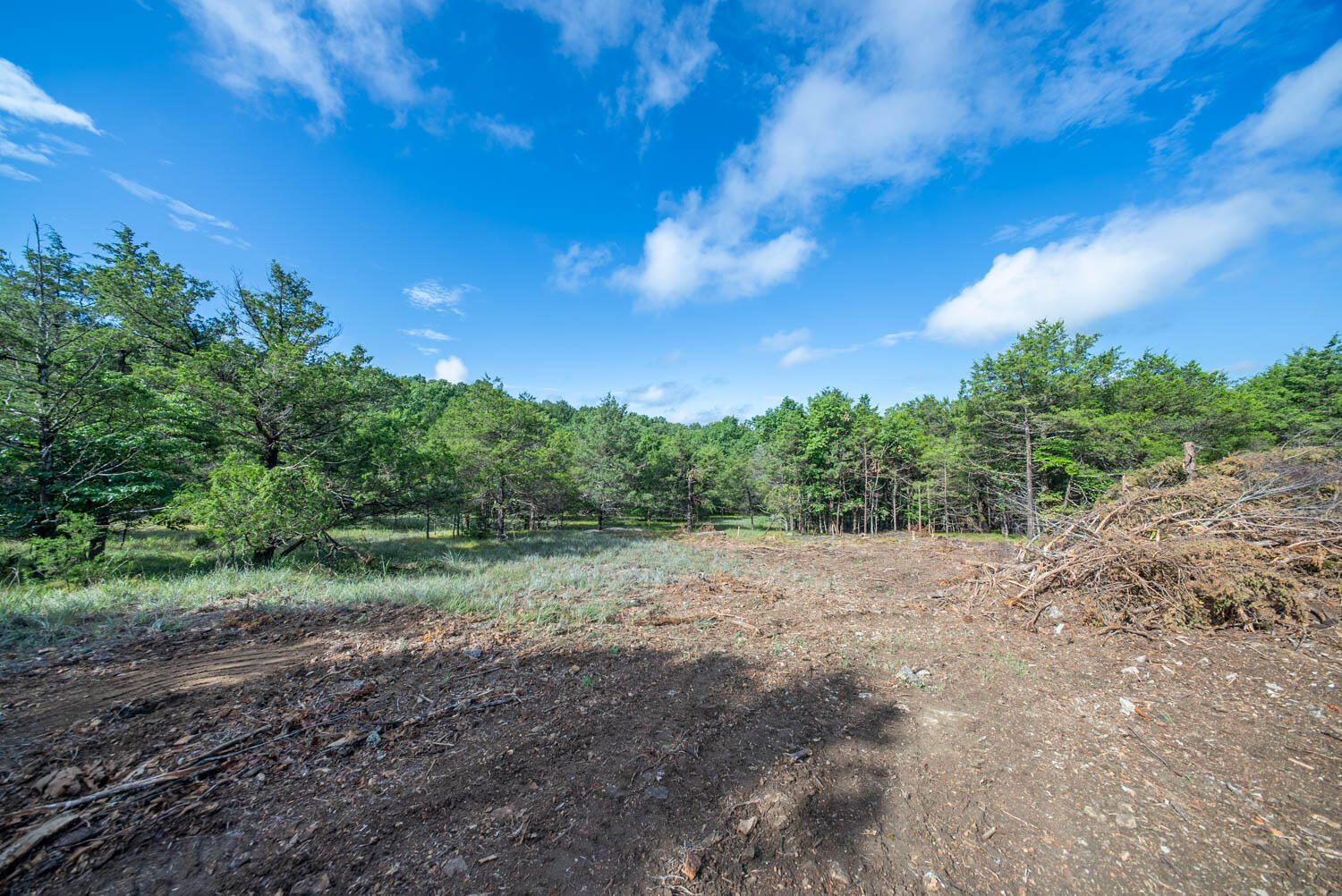 Photo 21 - Land for sale – 000  County Road 477   Clarkridge, AR