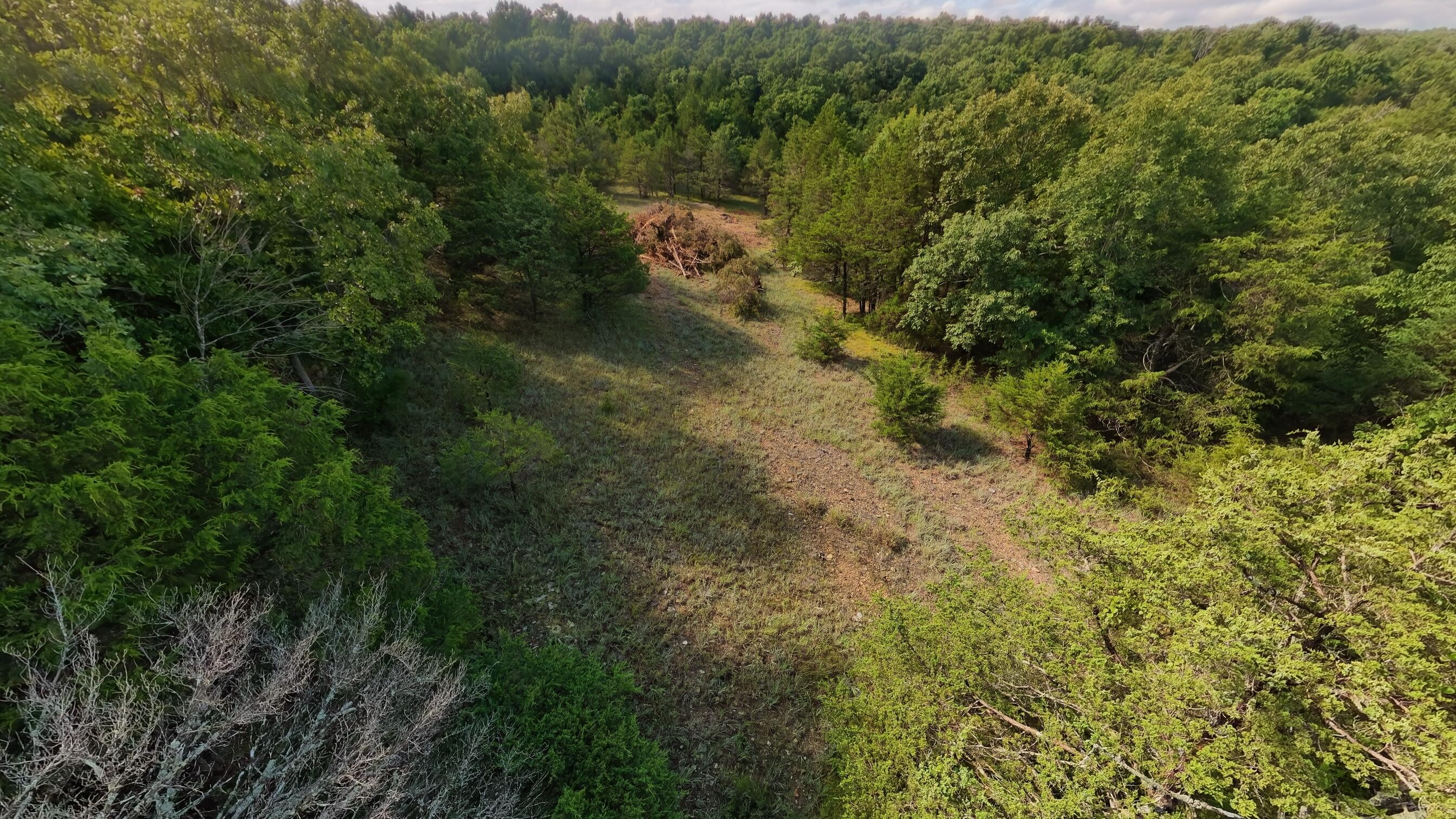 Photo 14 - Land for sale – 000  County Road 477   Clarkridge, AR