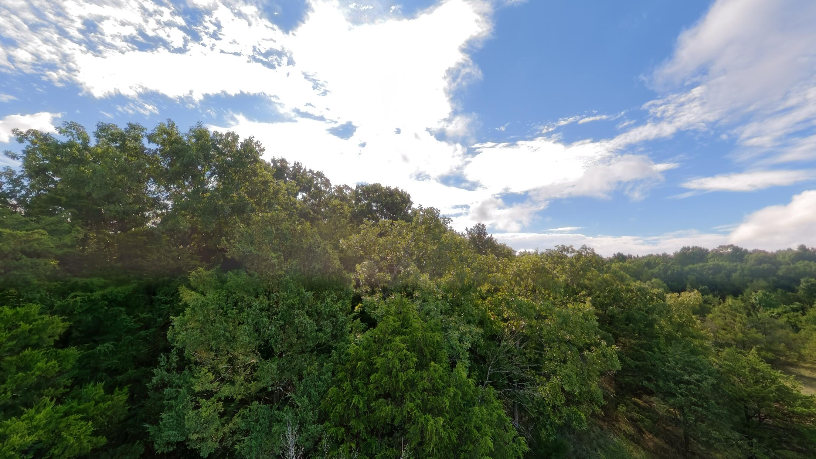 Photo 15 - Land for sale – 000  County Road 477   Clarkridge, AR