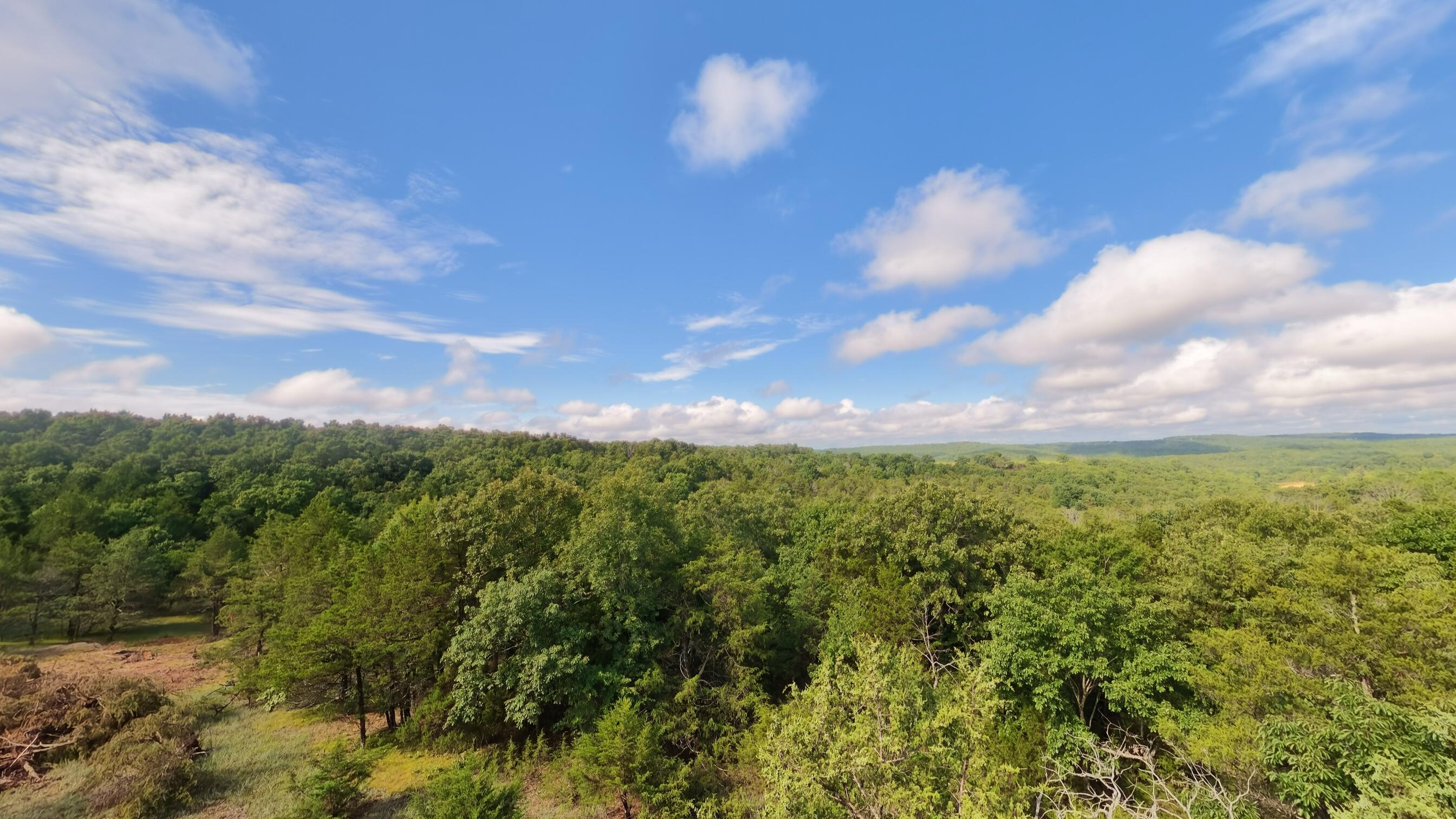 Photo 16 - Land for sale – 000  County Road 477   Clarkridge, AR