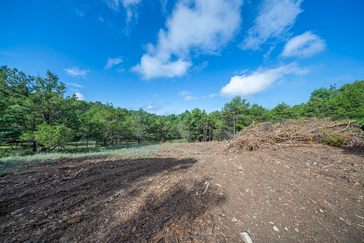 Photo 20 - Land for sale – 000  County Road 477   Clarkridge, AR