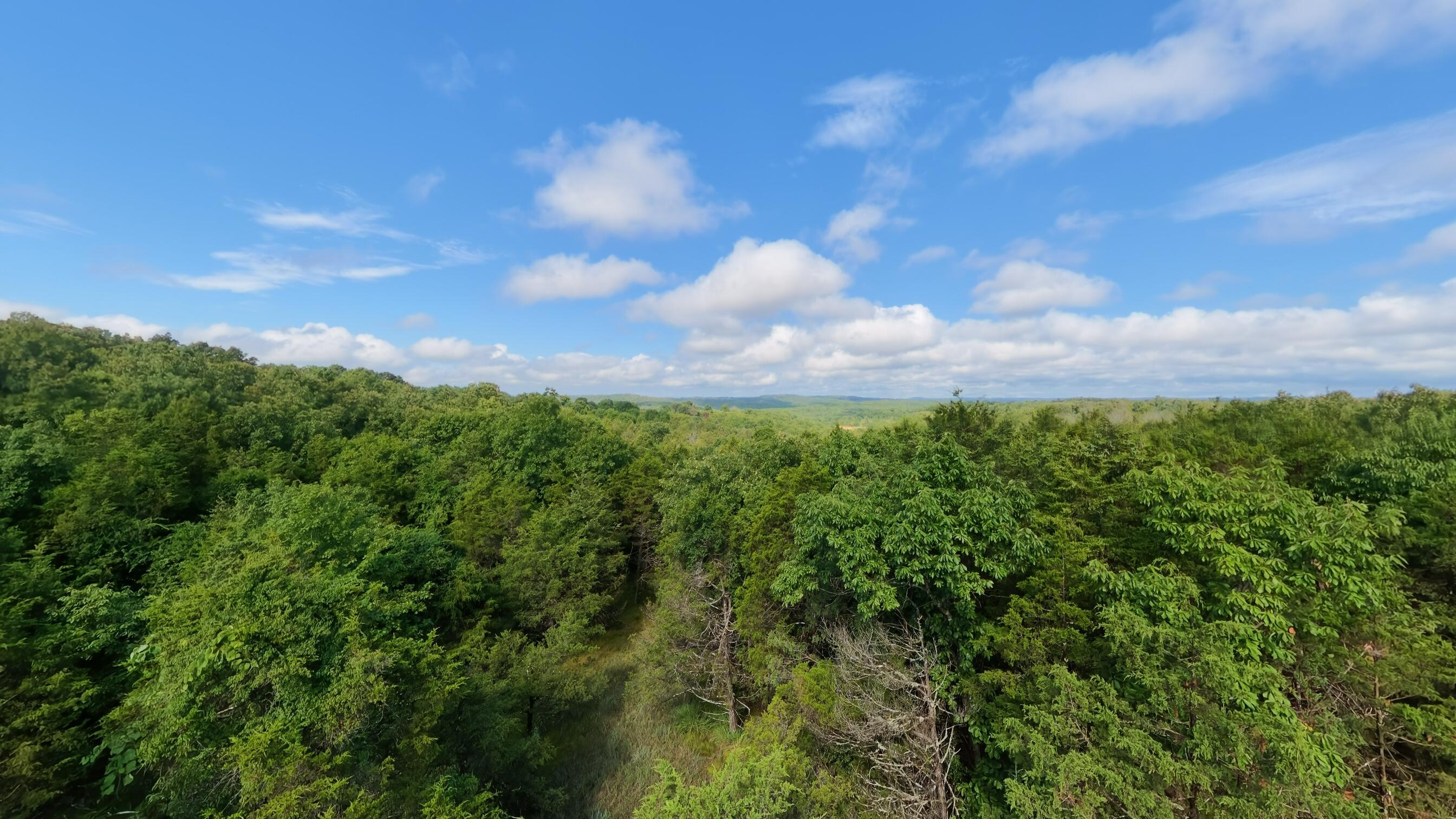 Photo 11 - Land for sale – 000  County Road 477   Clarkridge, AR