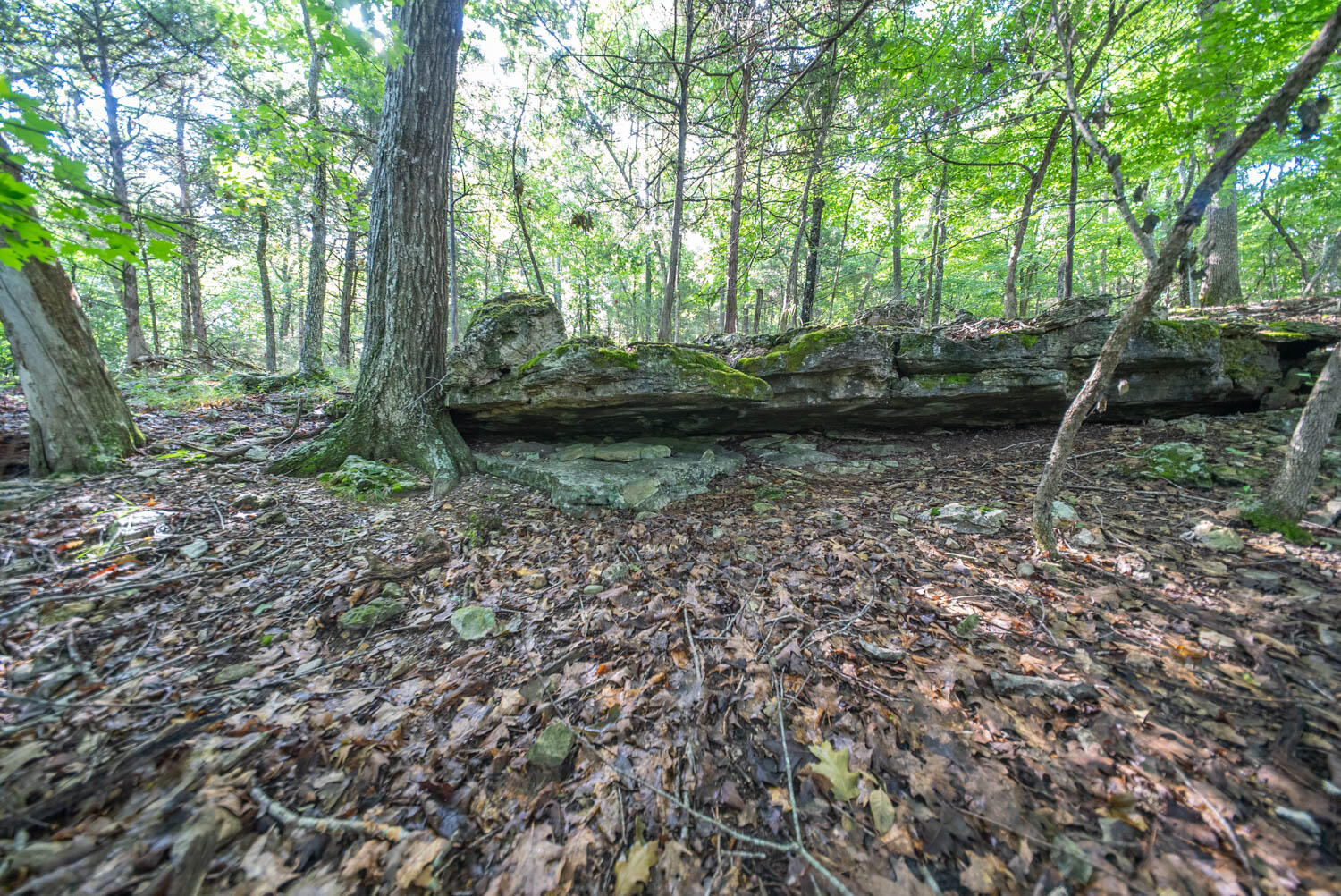 Photo 25 - Land for sale – 000  County Road 477   Clarkridge, AR